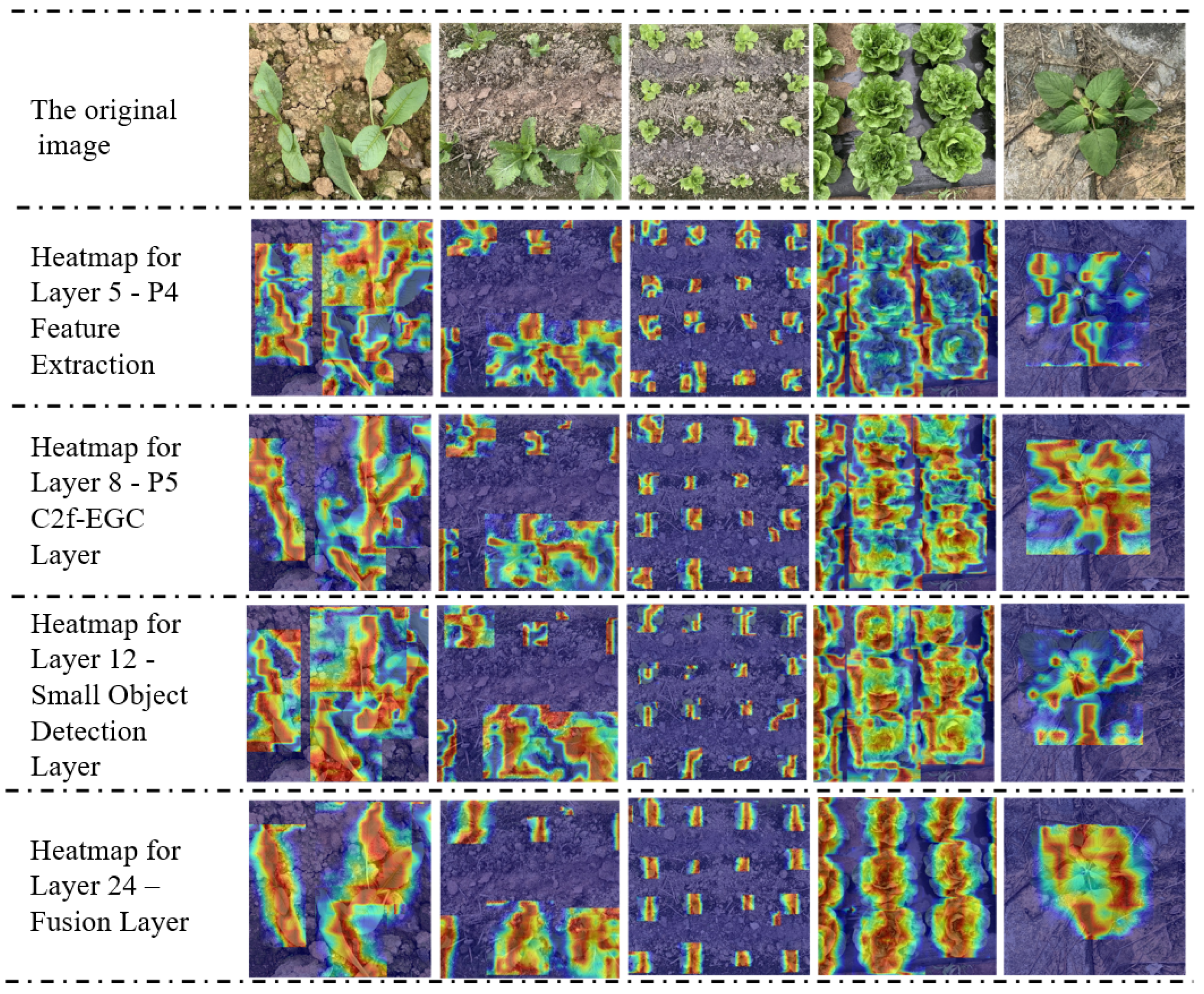 Agriculture 15 00037 g014