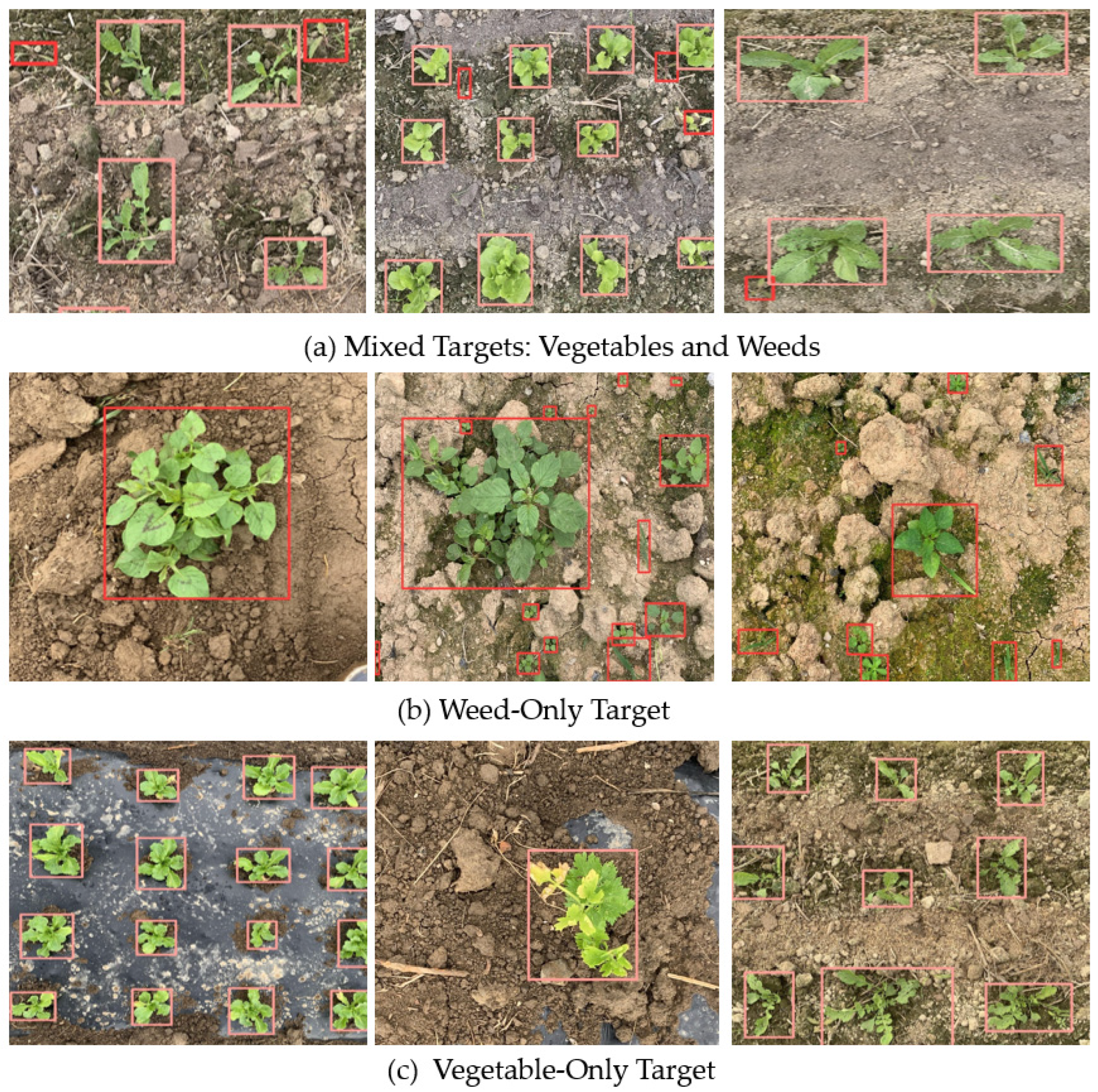 Agriculture 15 00037 g016