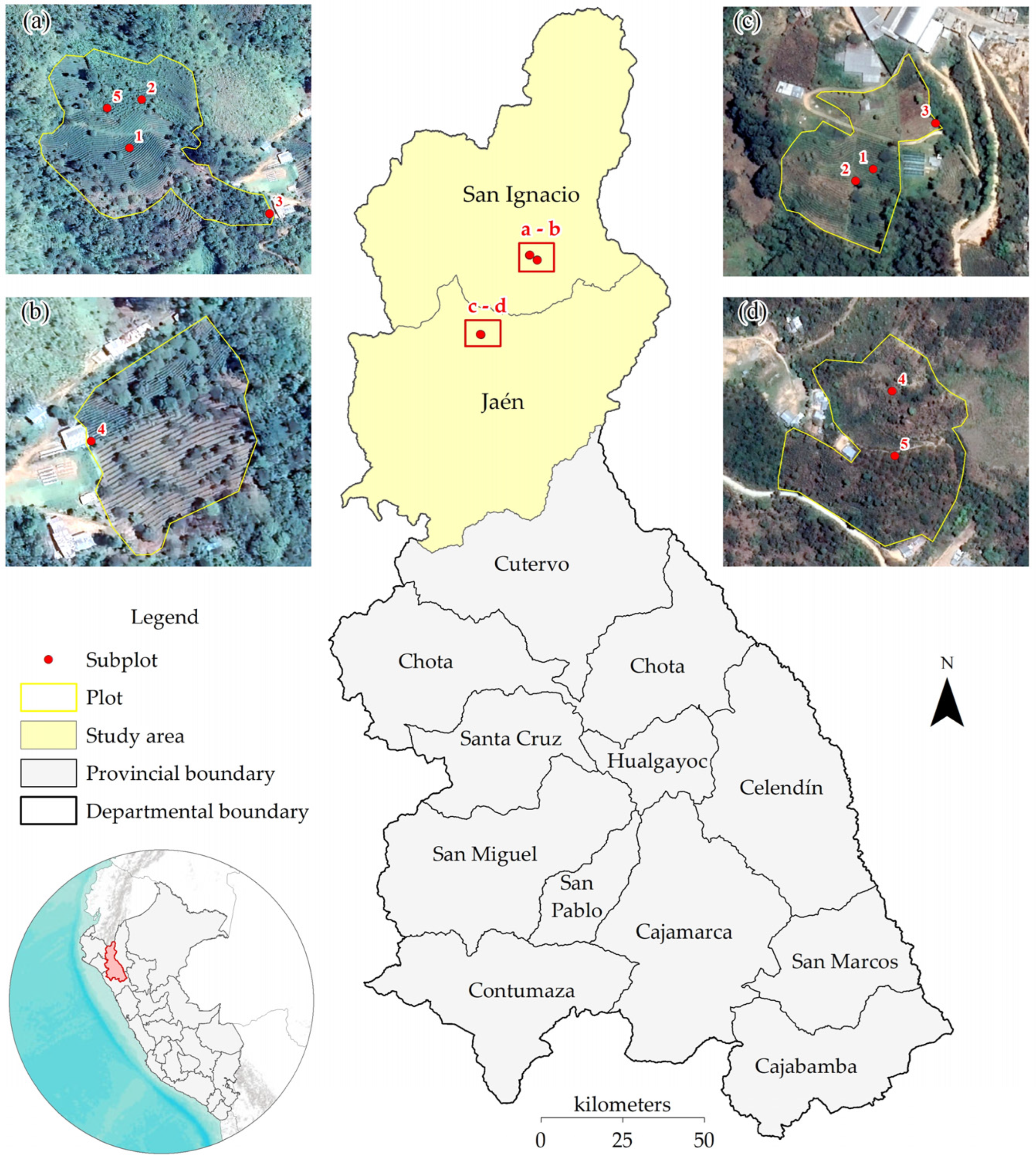 Agriculture 15 00039 g001