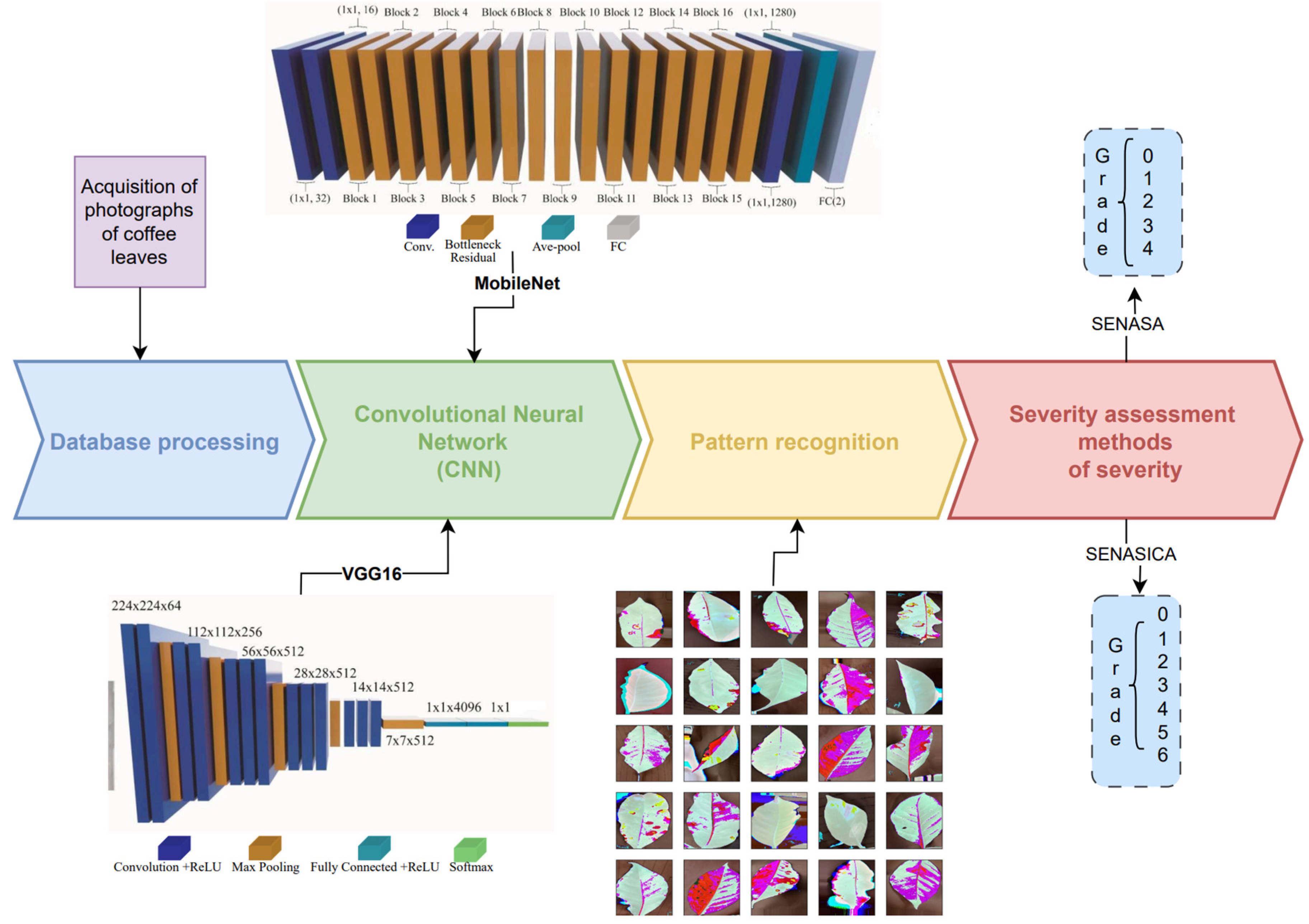 Agriculture 15 00039 g002