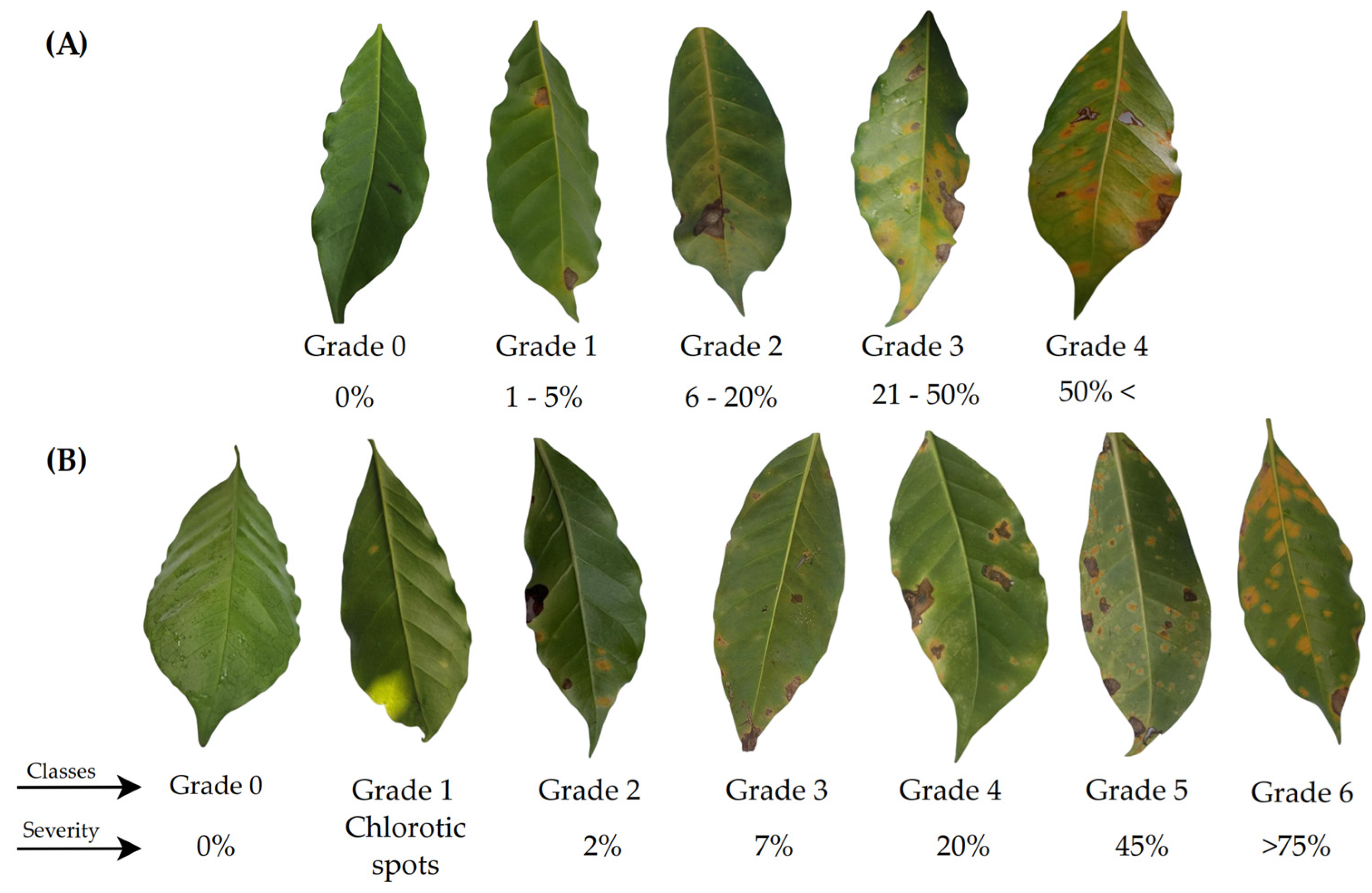 Agriculture 15 00039 g003