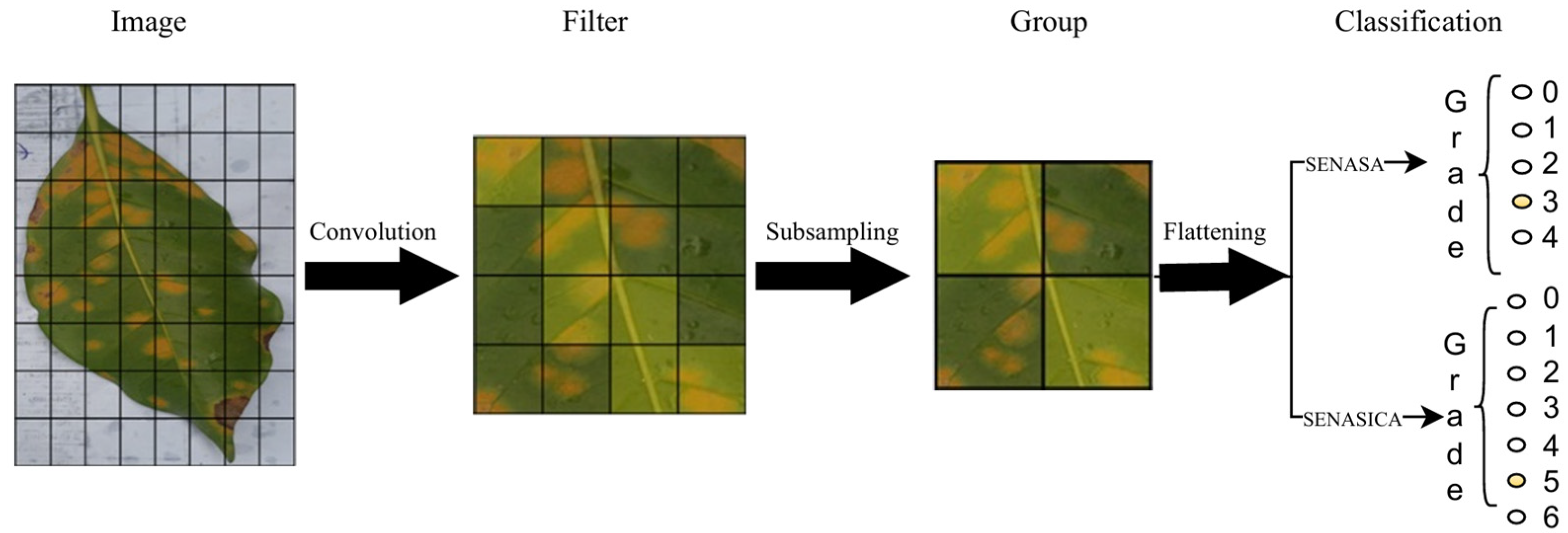 Agriculture 15 00039 g004