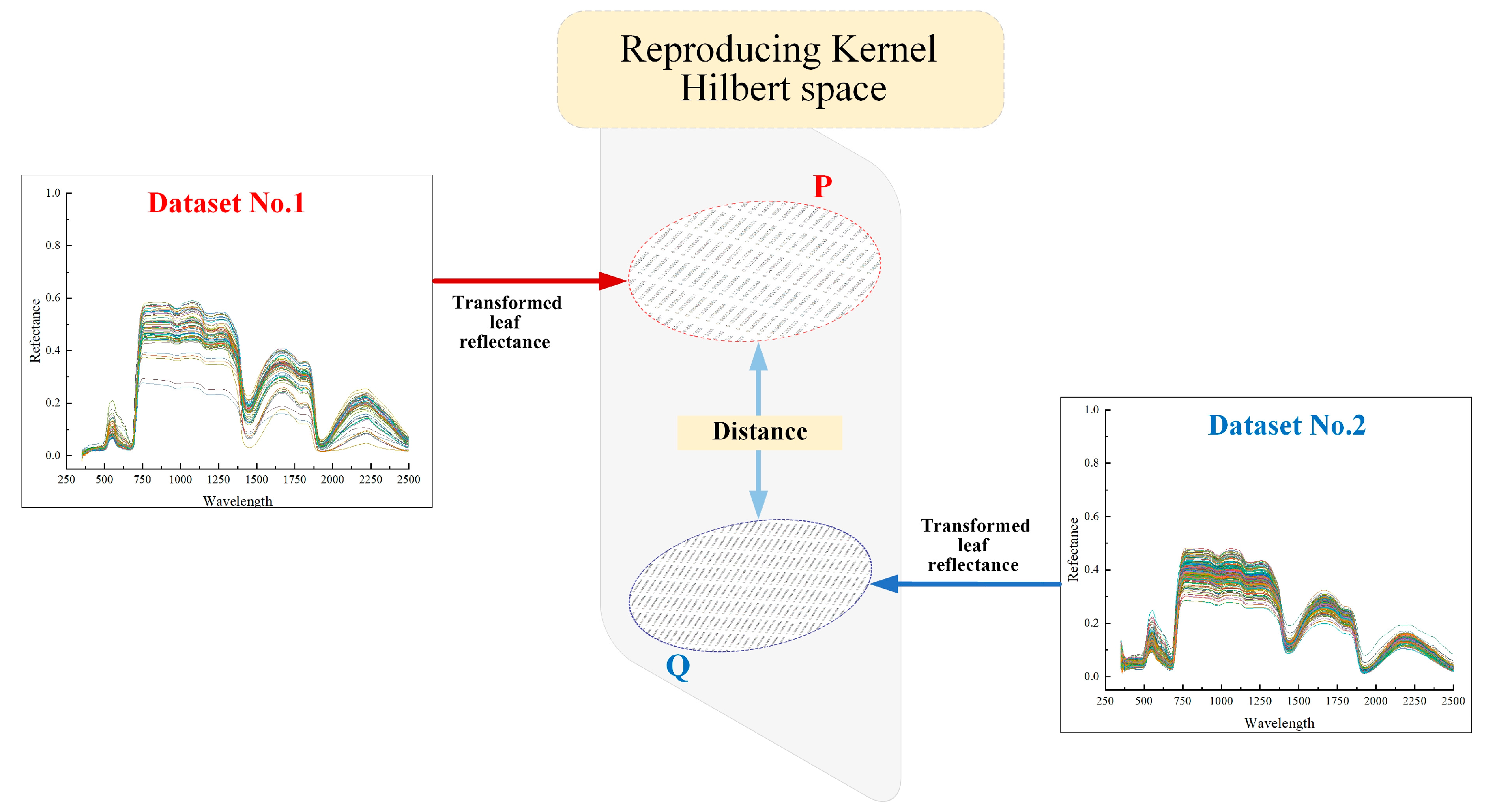 Agriculture 15 00046 g001