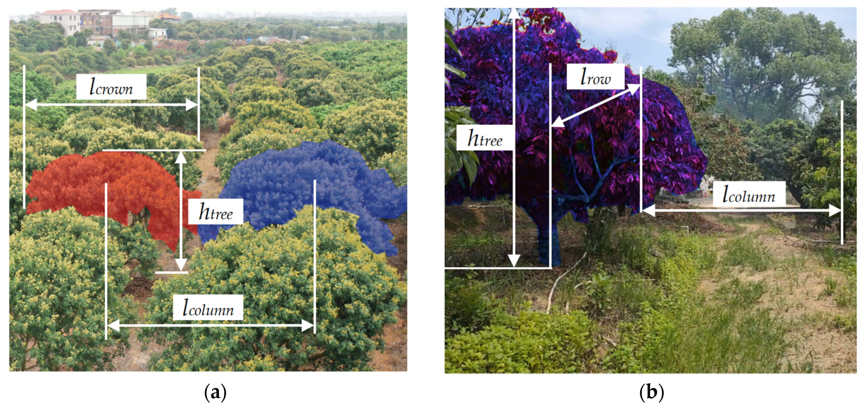 Agriculture 15 00048 g001