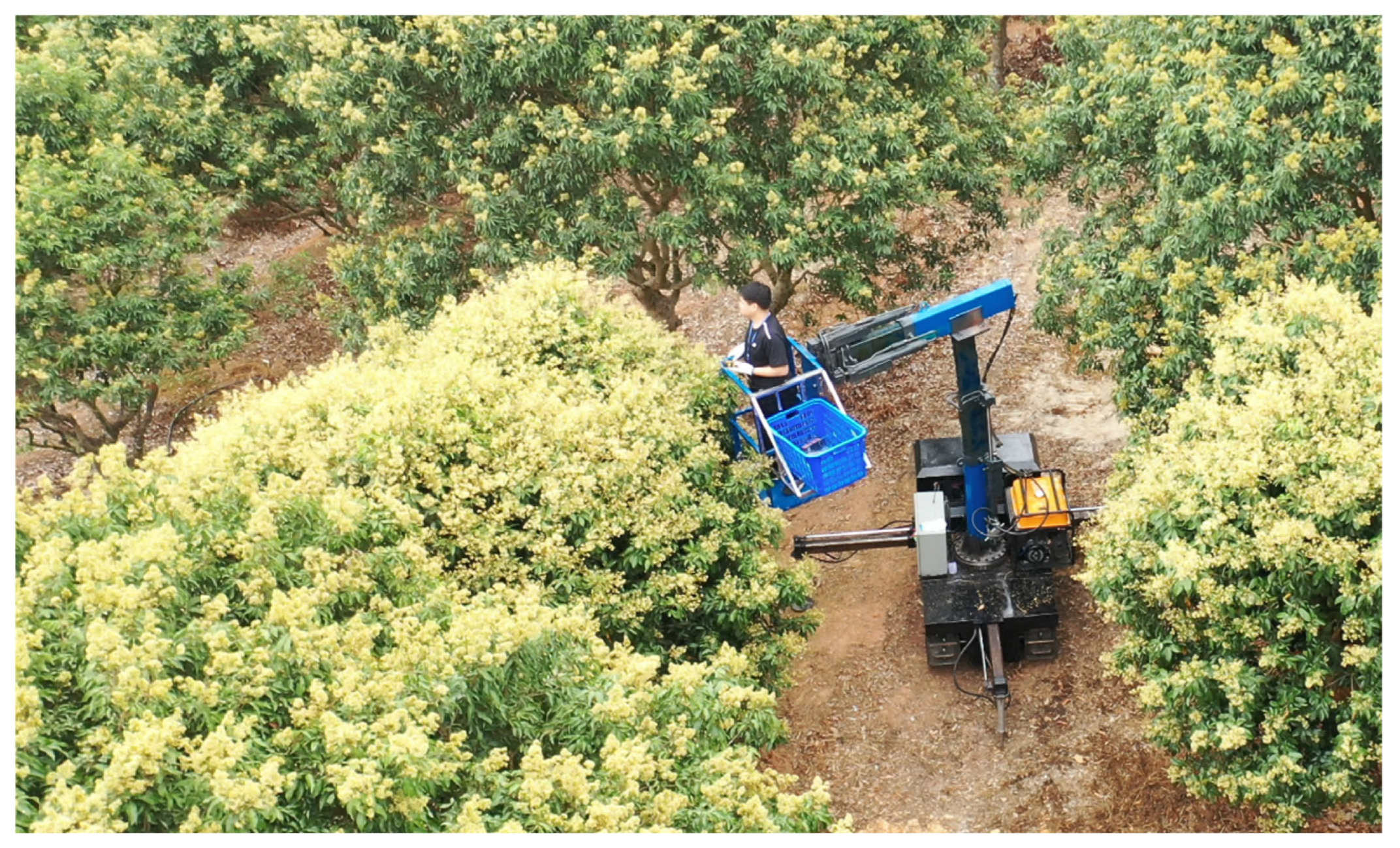 Agriculture 15 00048 g012