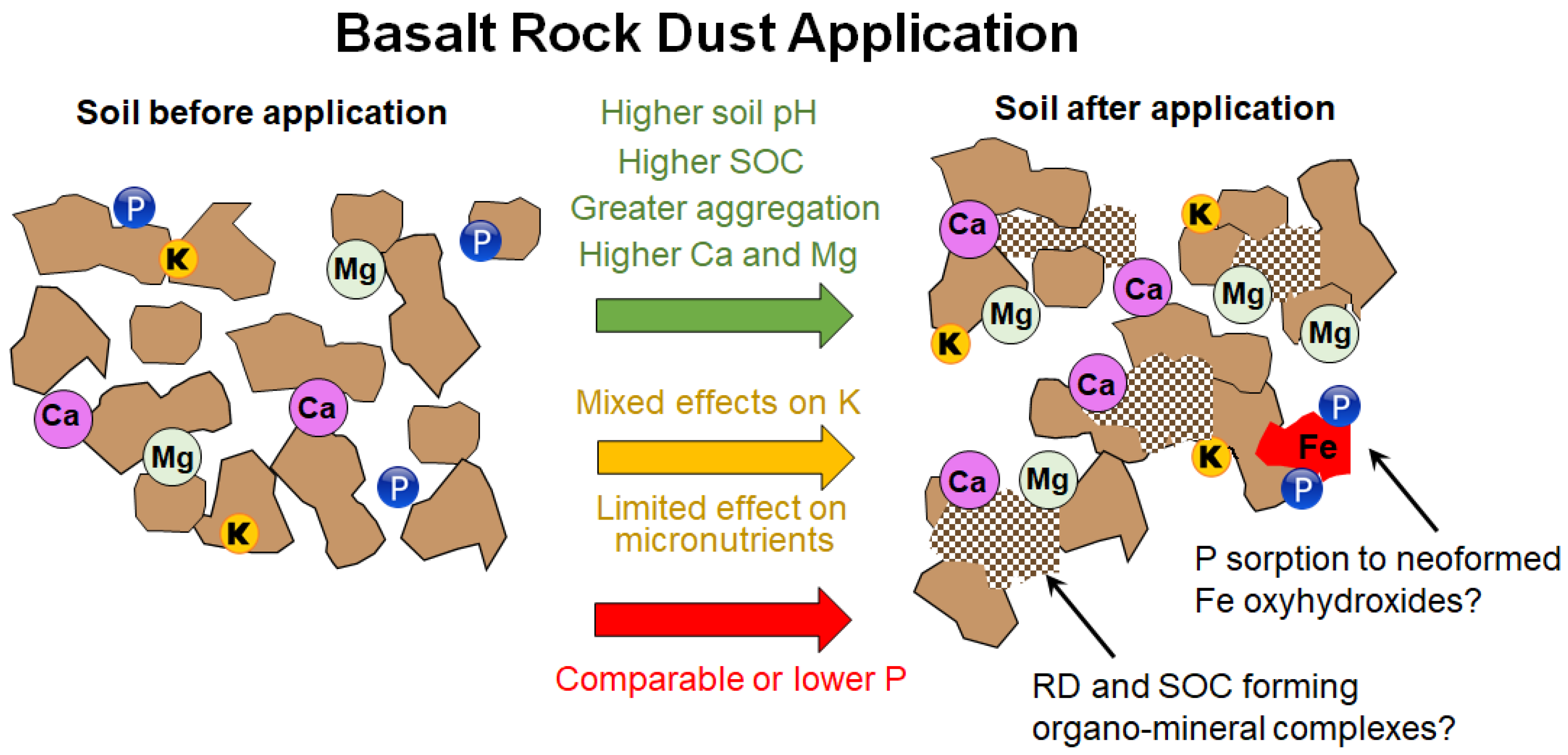 Agriculture 15 00052 g007 Agriculture 15 00052 g007