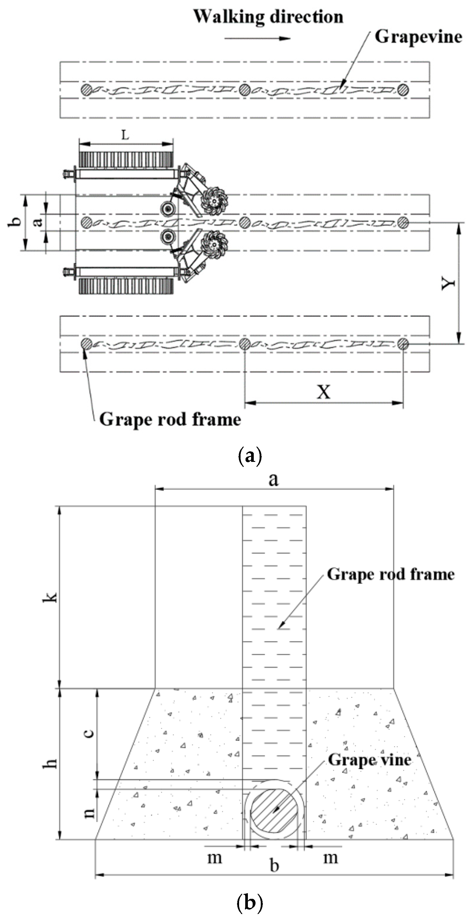 Agriculture 15 00055 g001