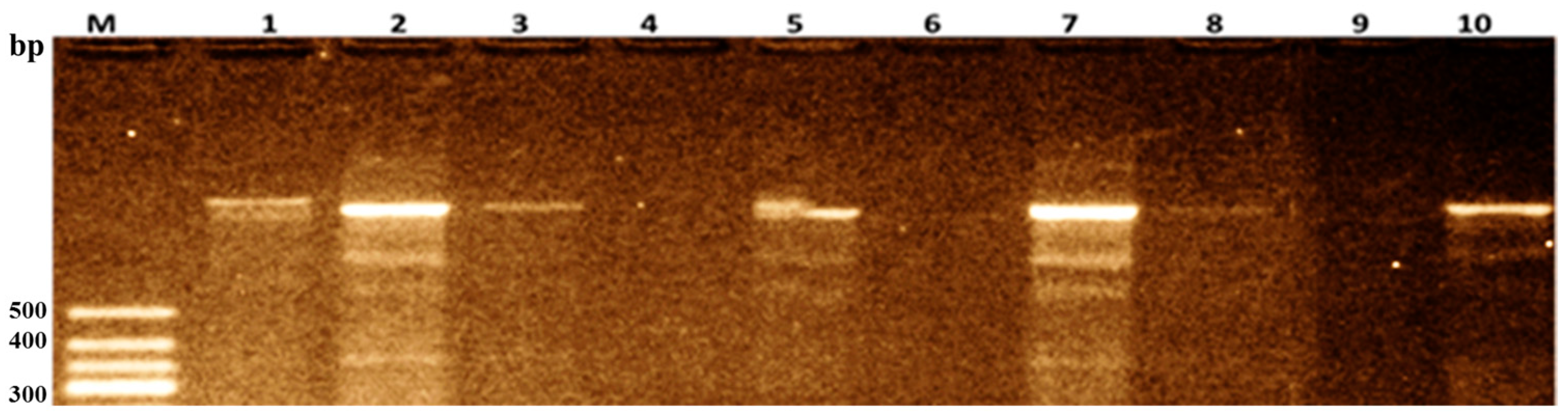 Agriculture 15 00061 g006