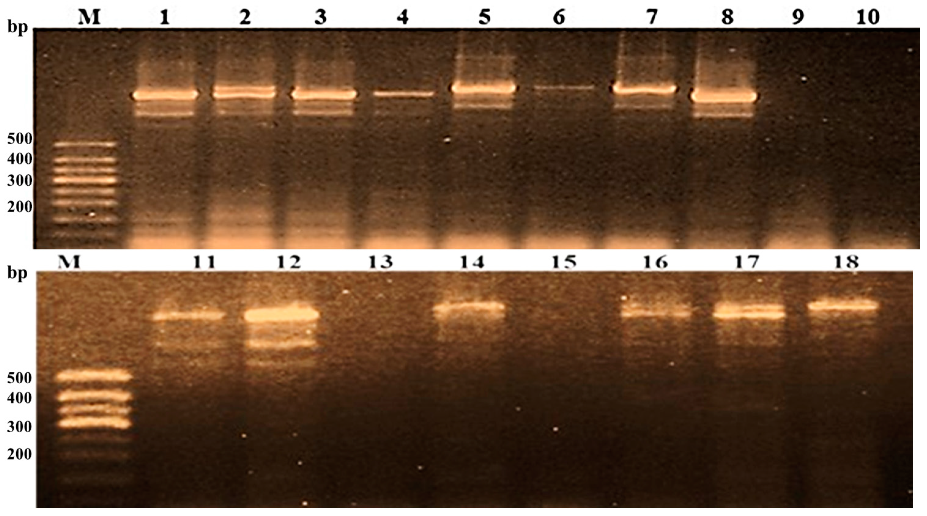 Agriculture 15 00061 g007