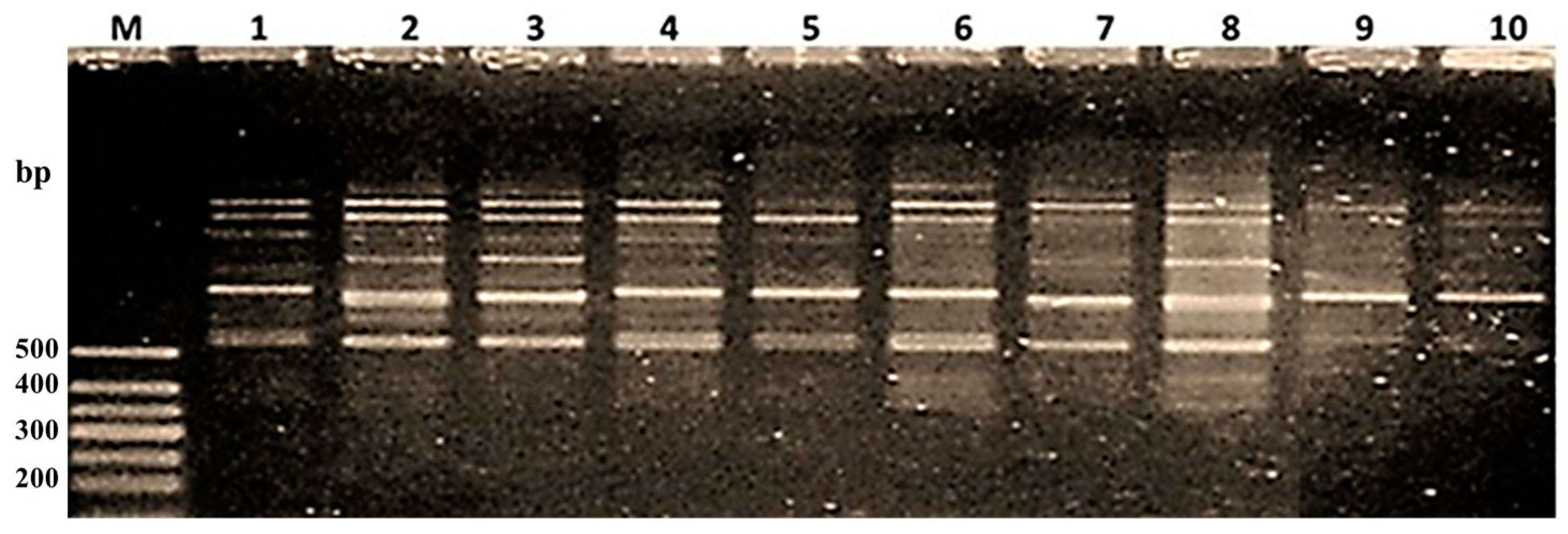 Agriculture 15 00061 g009