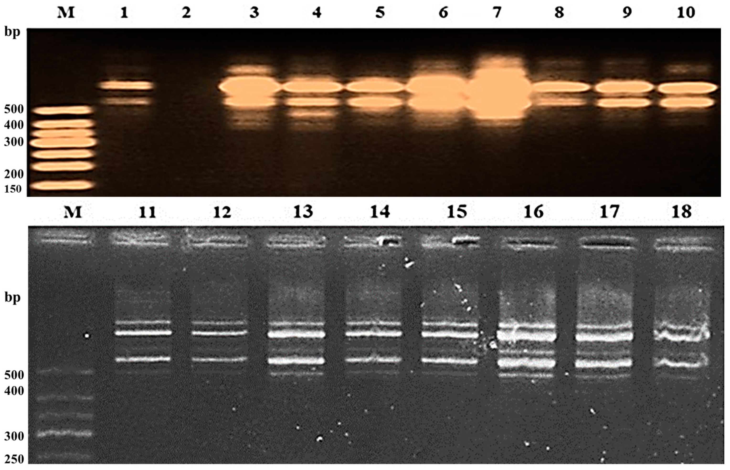 Agriculture 15 00061 g011