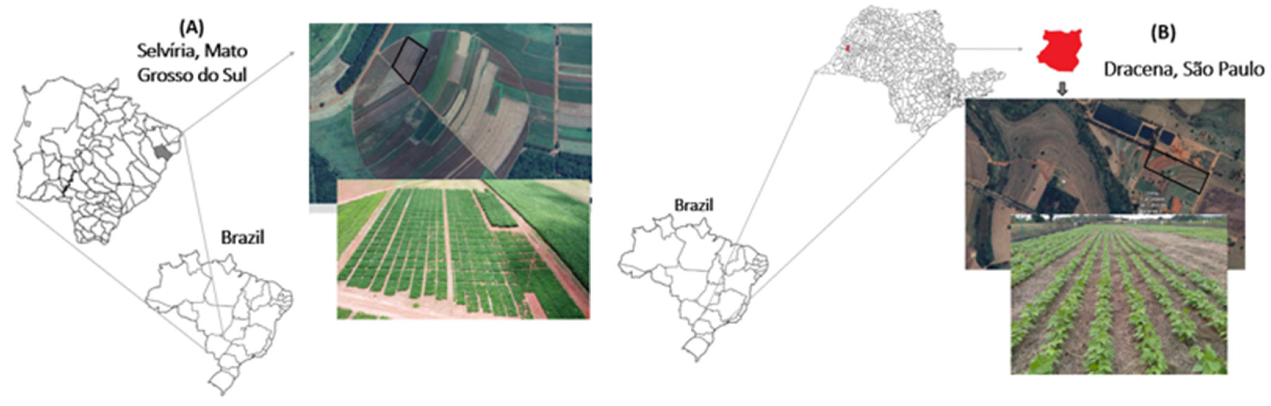 Agriculture 15 00063 g001