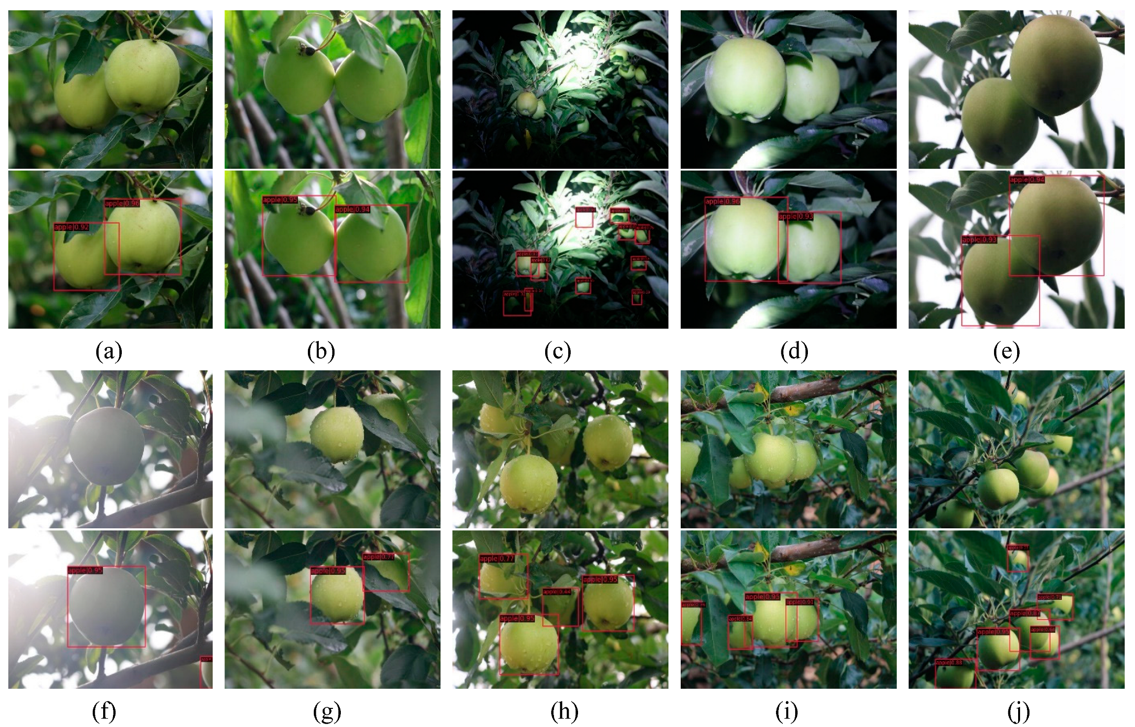 Agriculture 15 00075 g004