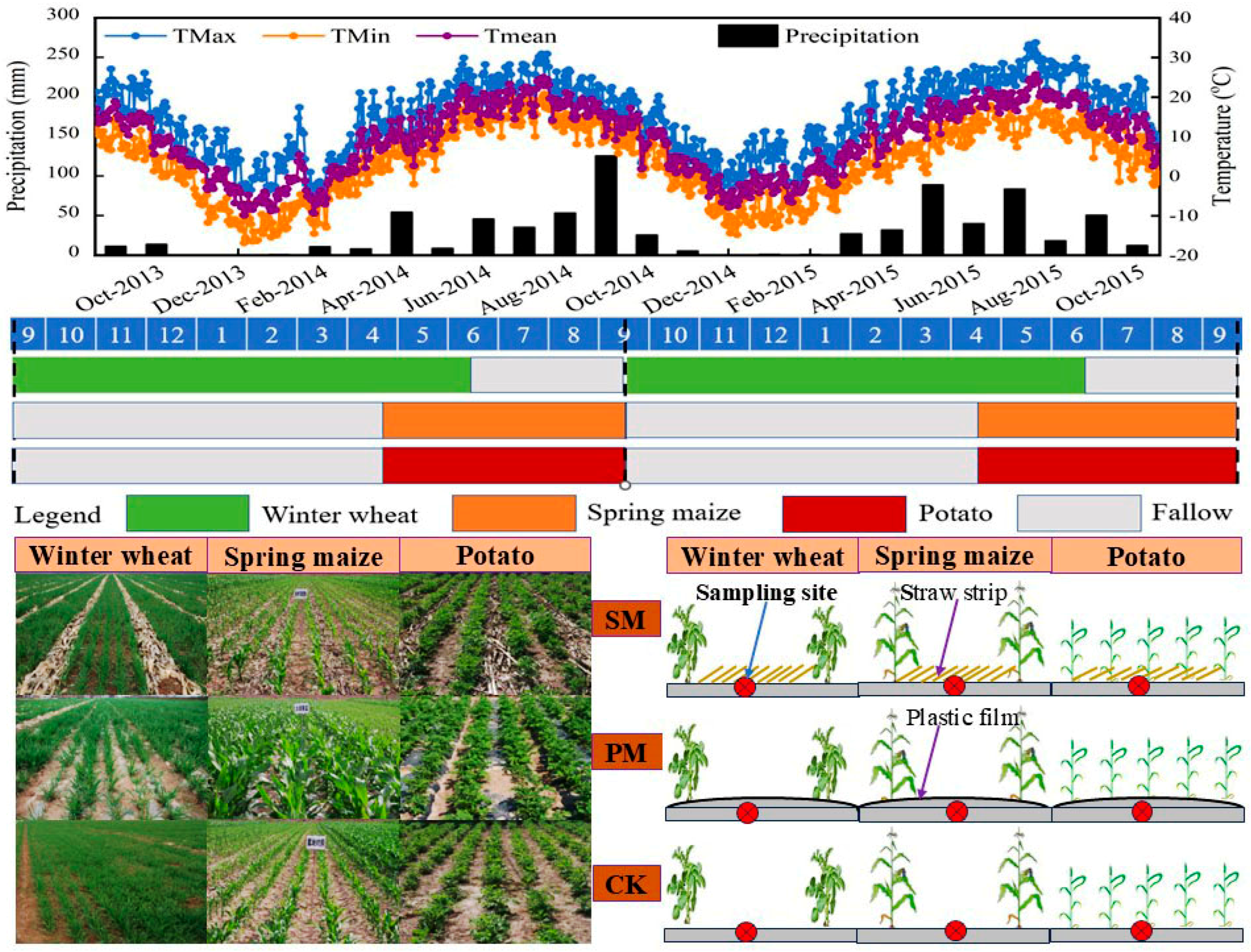 Agriculture 15 00076 g001
