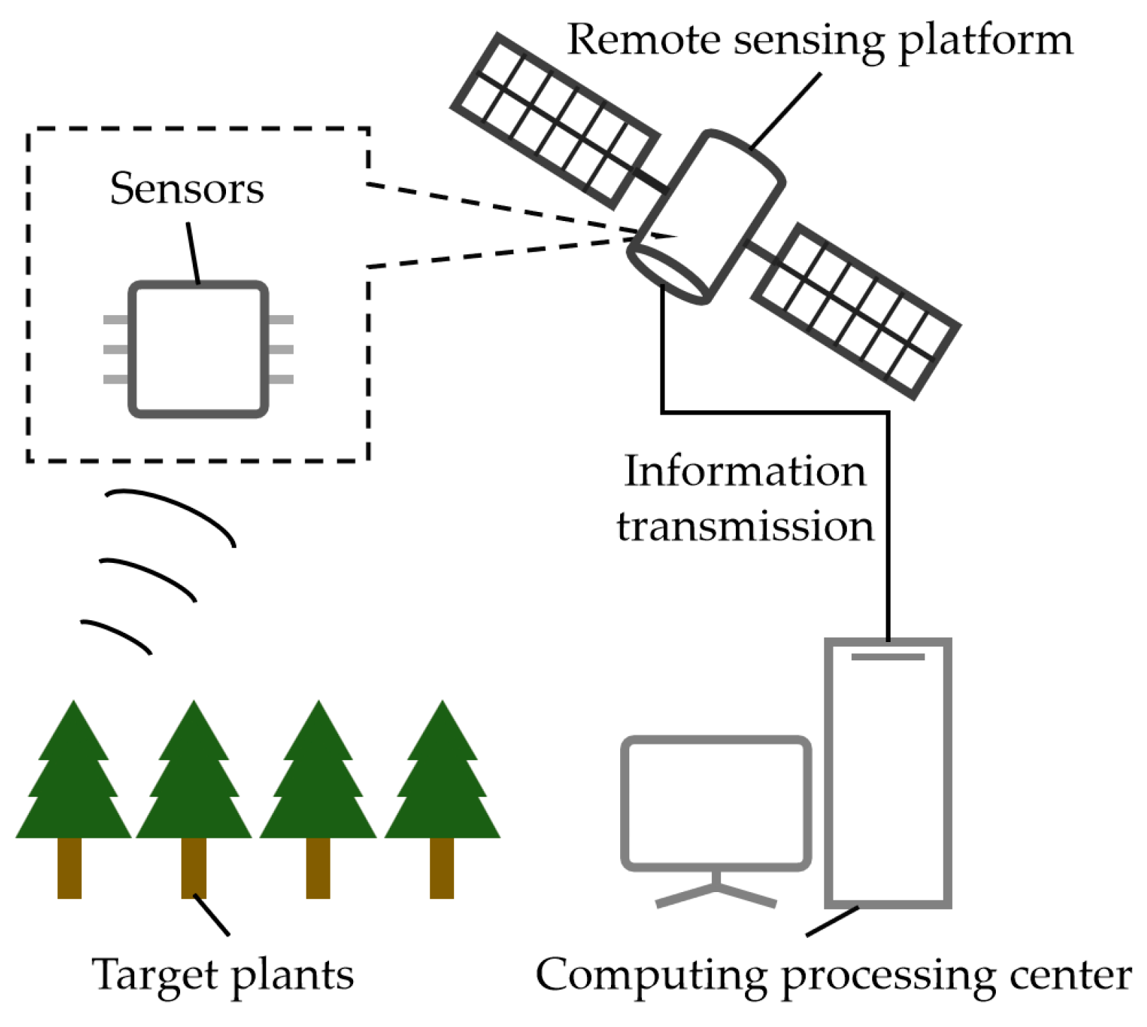 Agriculture 15 00081 g004