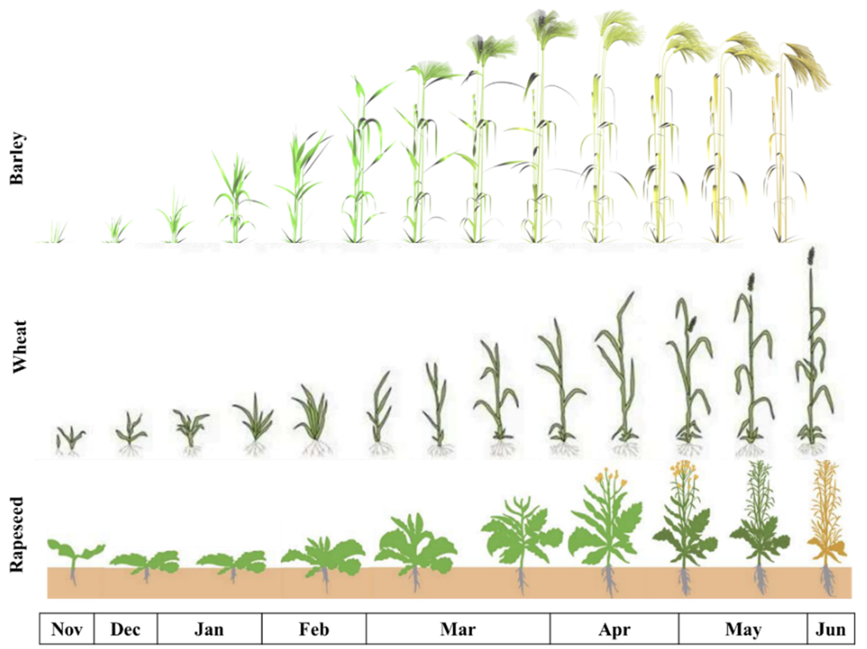 Agriculture 15 00082 g001