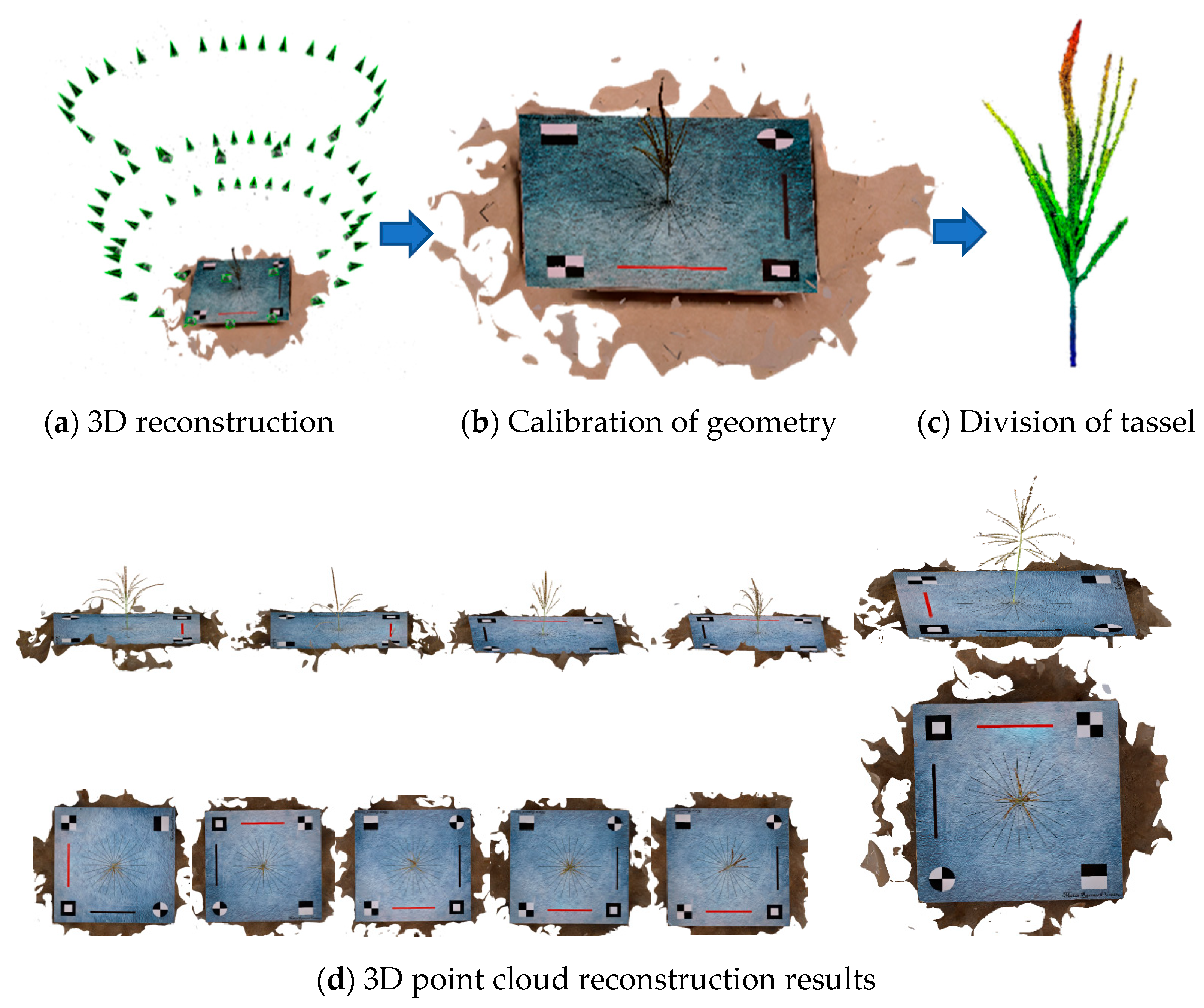 Agriculture 15 00085 g003