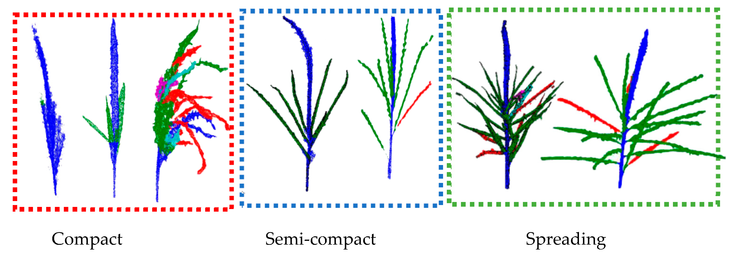 Agriculture 15 00085 g007