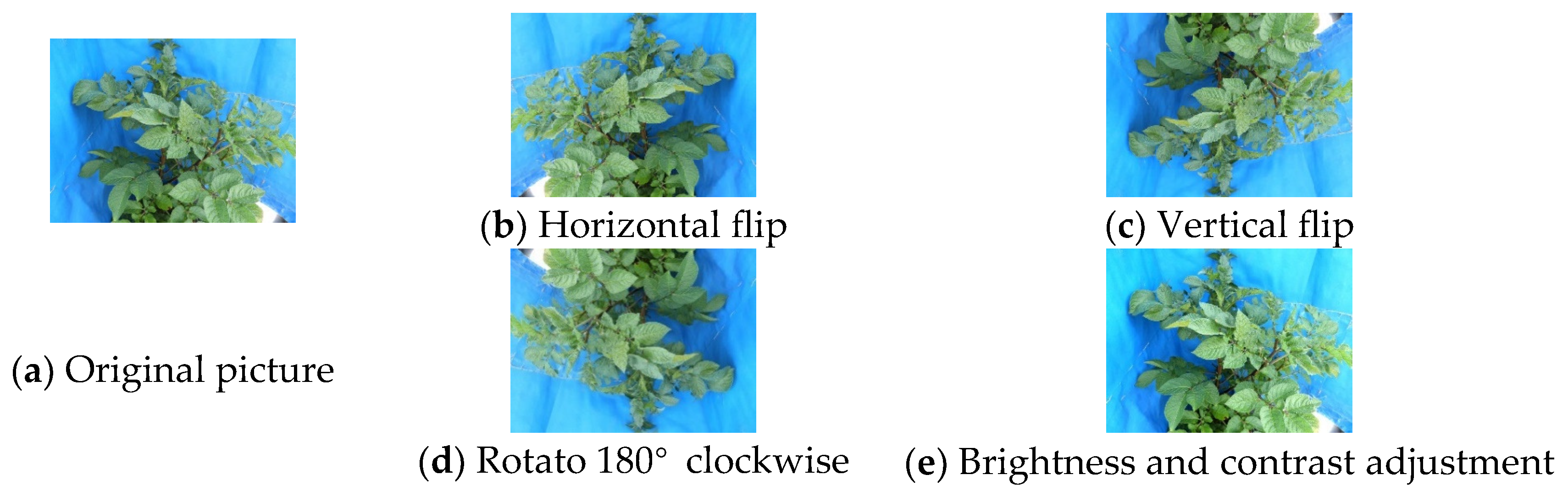 Agriculture 15 00087 g002