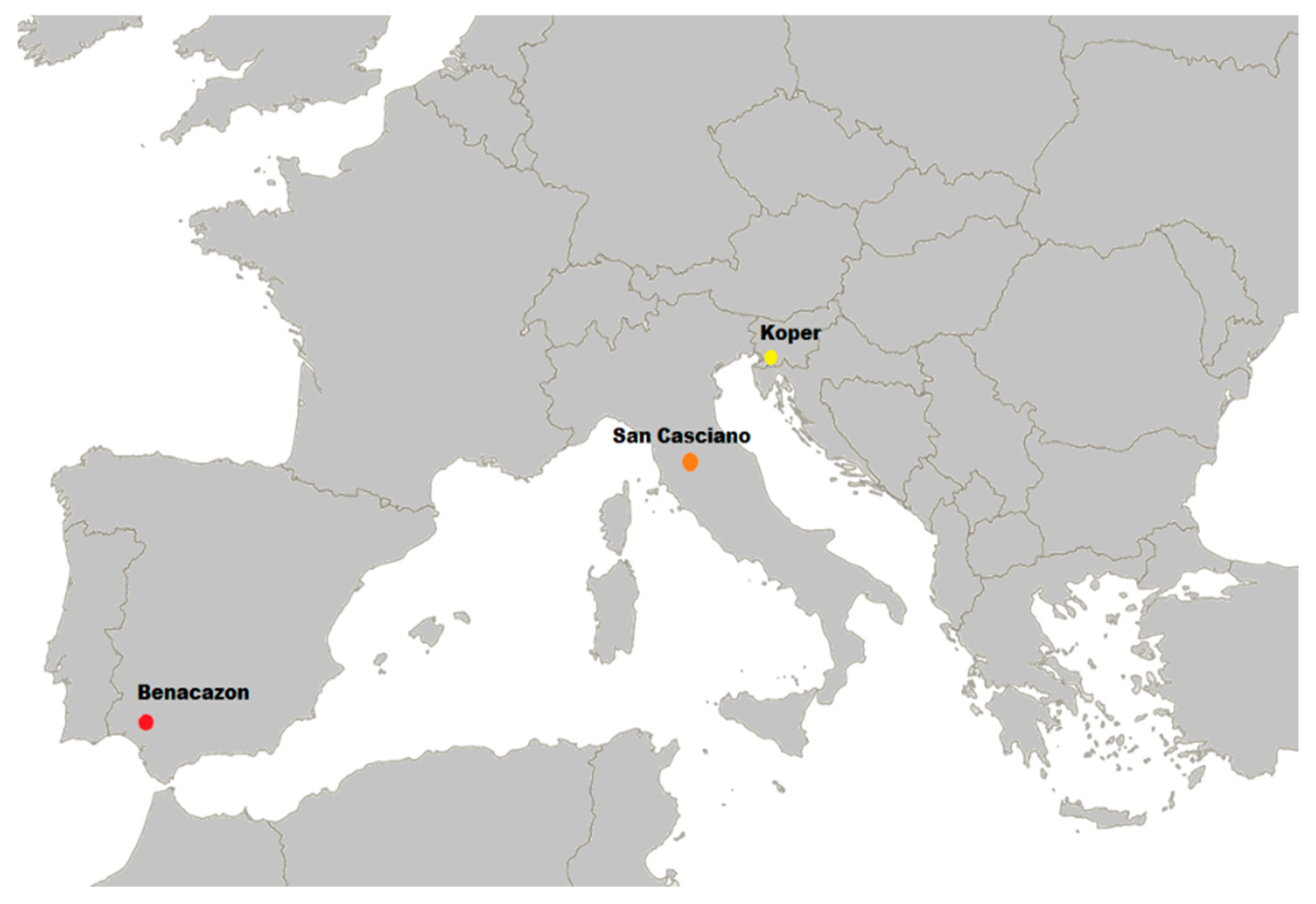 Agriculture 15 00089 g001