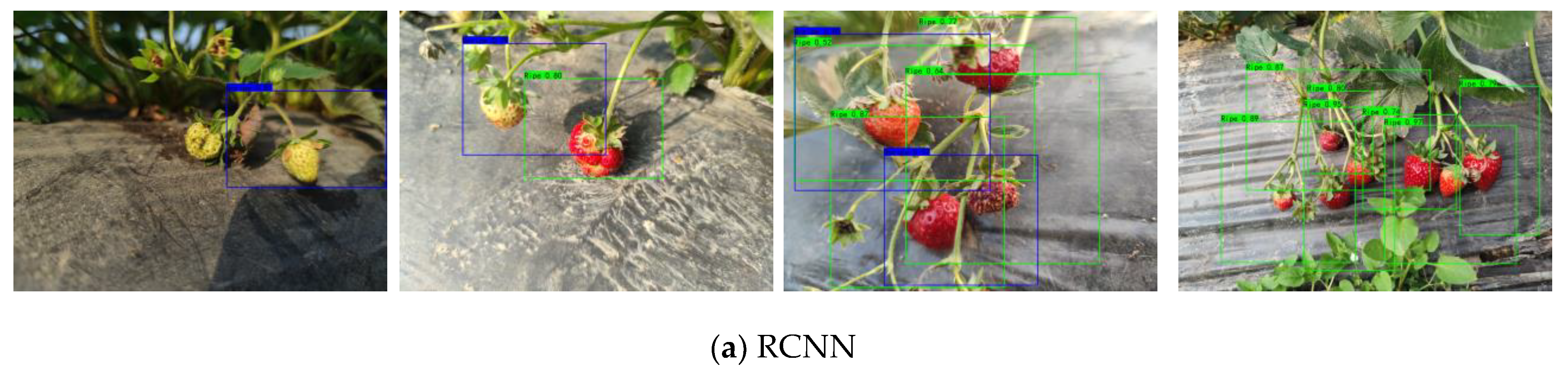 Agriculture 15 00090 g007a