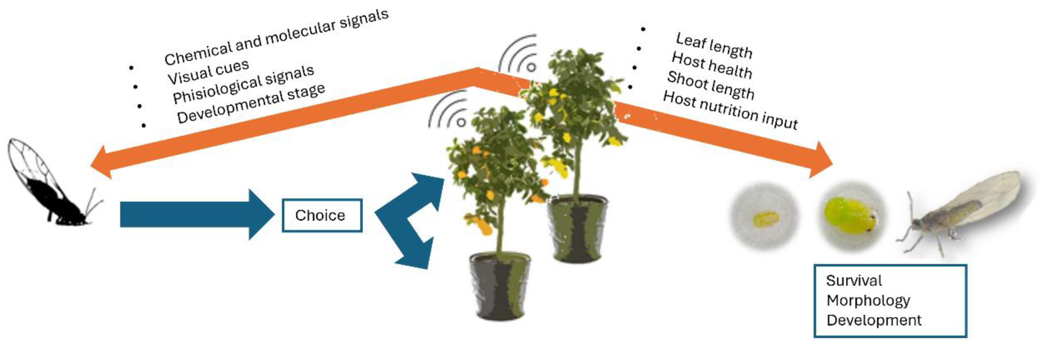Agriculture 15 00101 g002 Agriculture 15 00101 g002