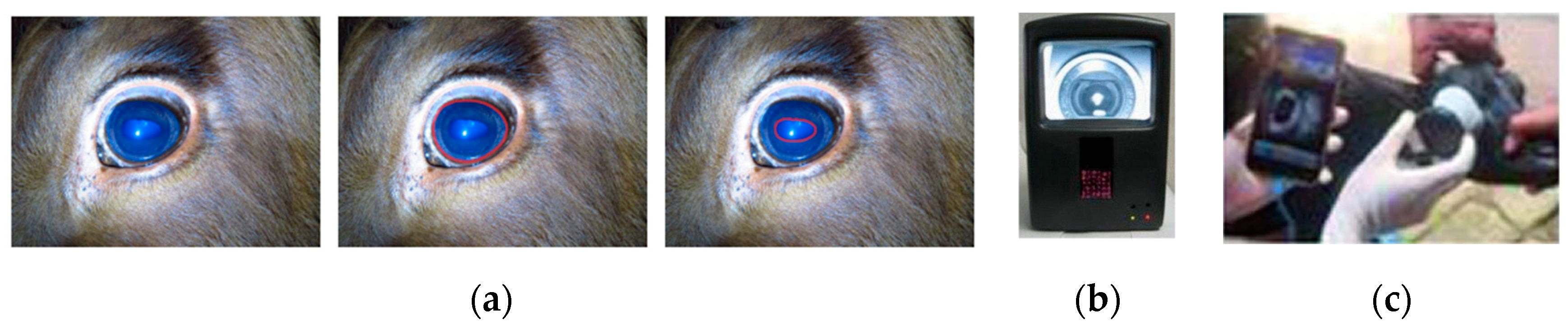 Agriculture 15 00102 g003