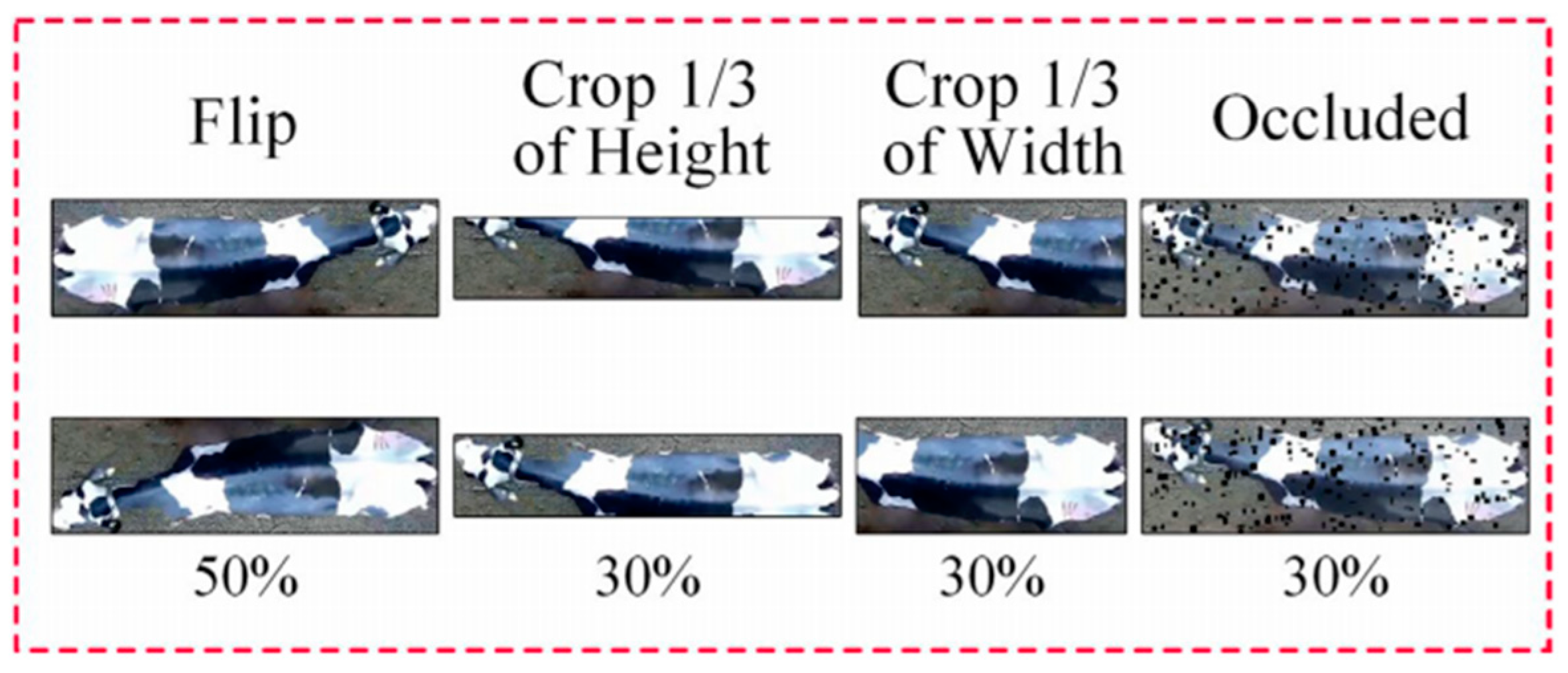 Agriculture 15 00102 g011