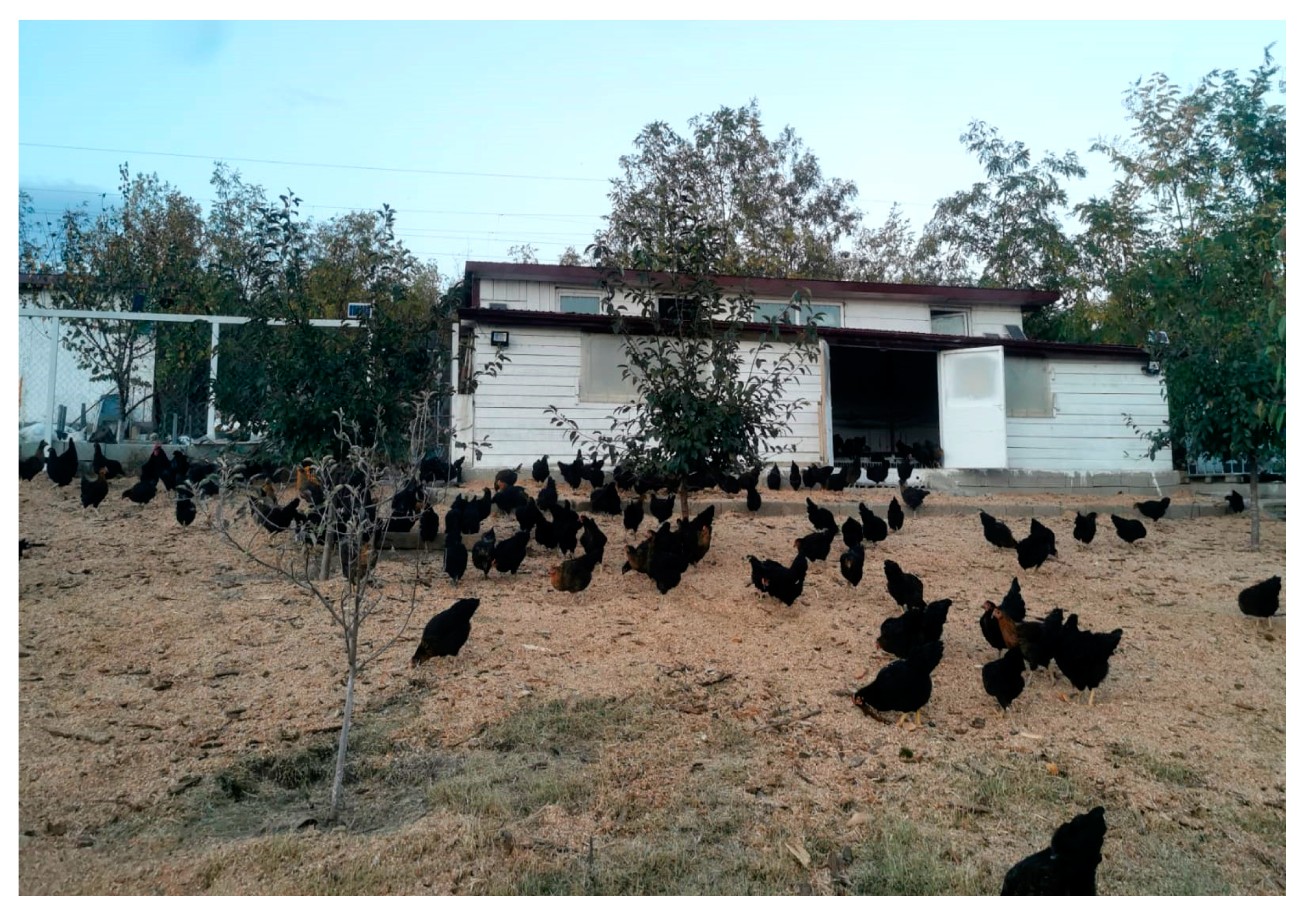 Agriculture 15 00104 g002 Agriculture 15 00104 g002