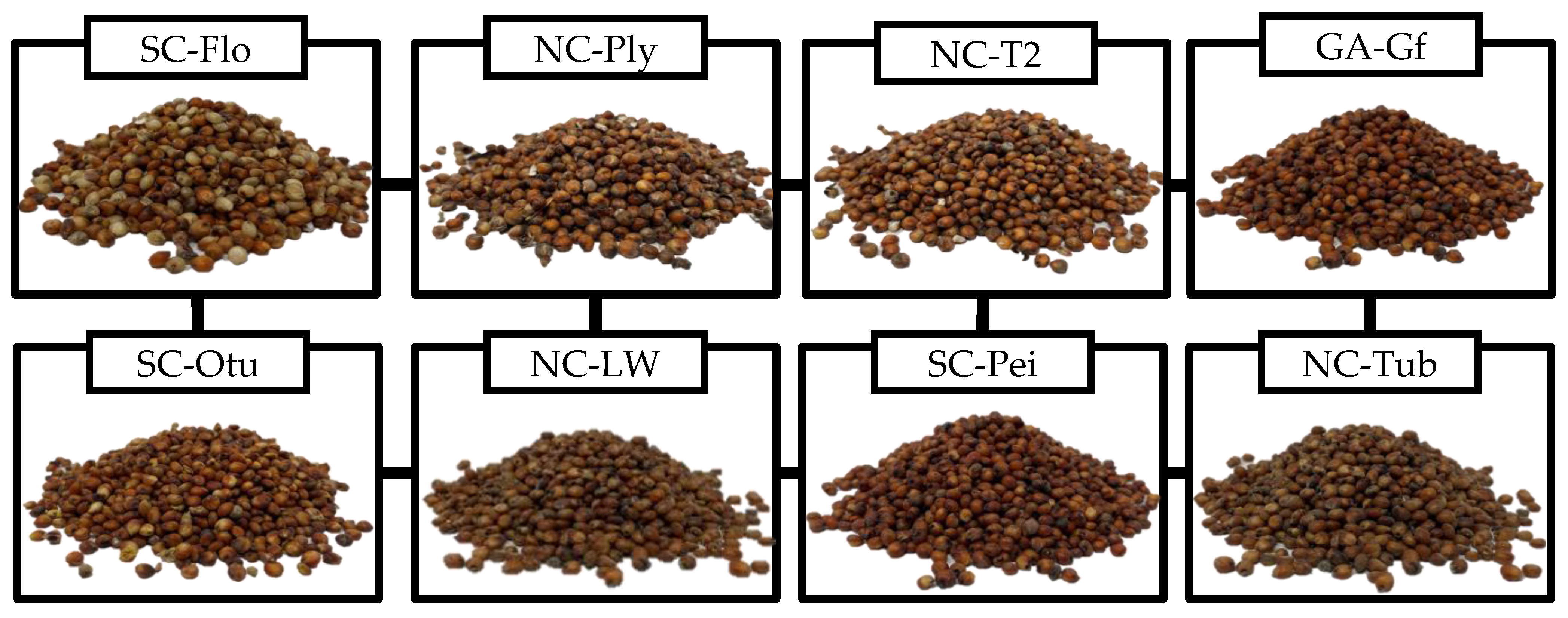 Agriculture 15 00109 g001