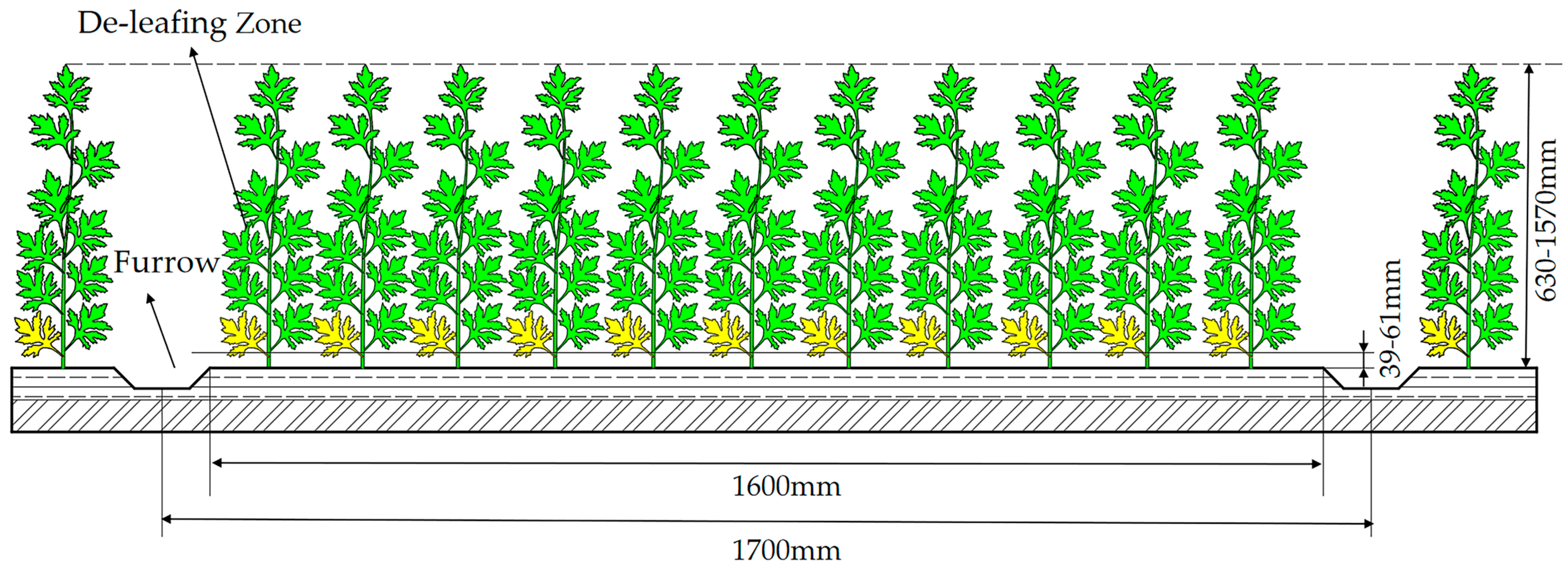 Agriculture 15 00111 g001