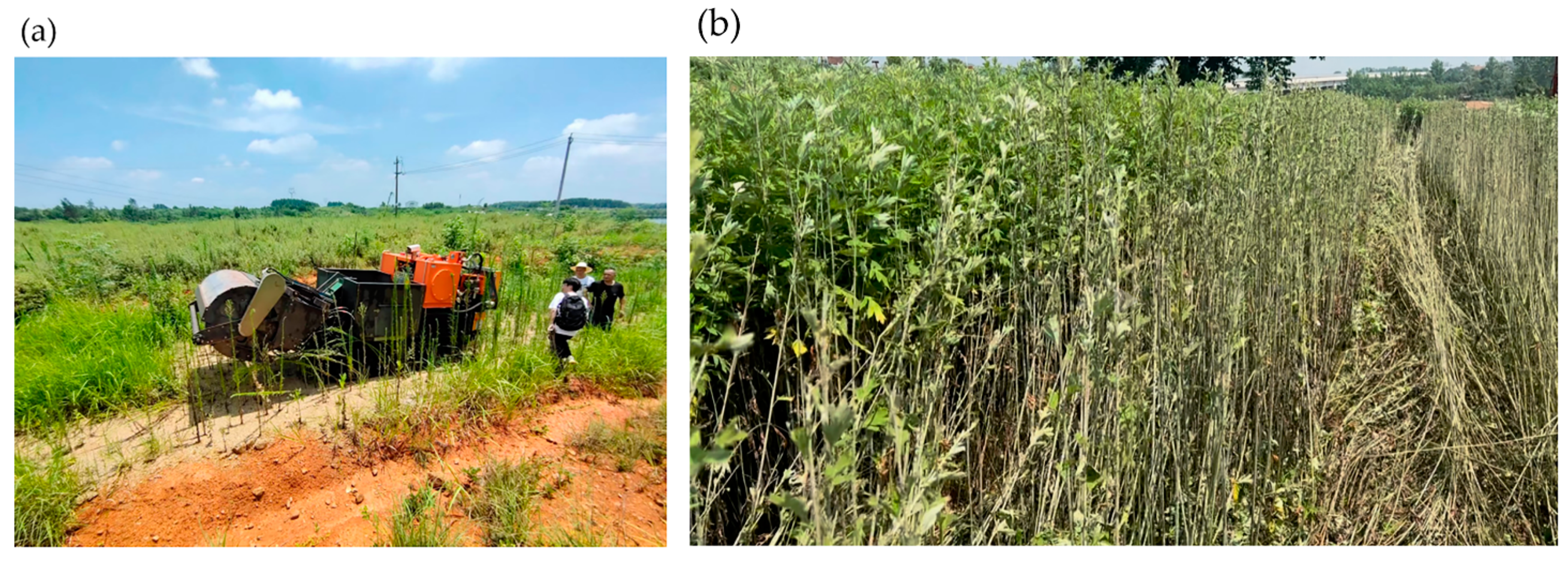 Agriculture 15 00111 g023