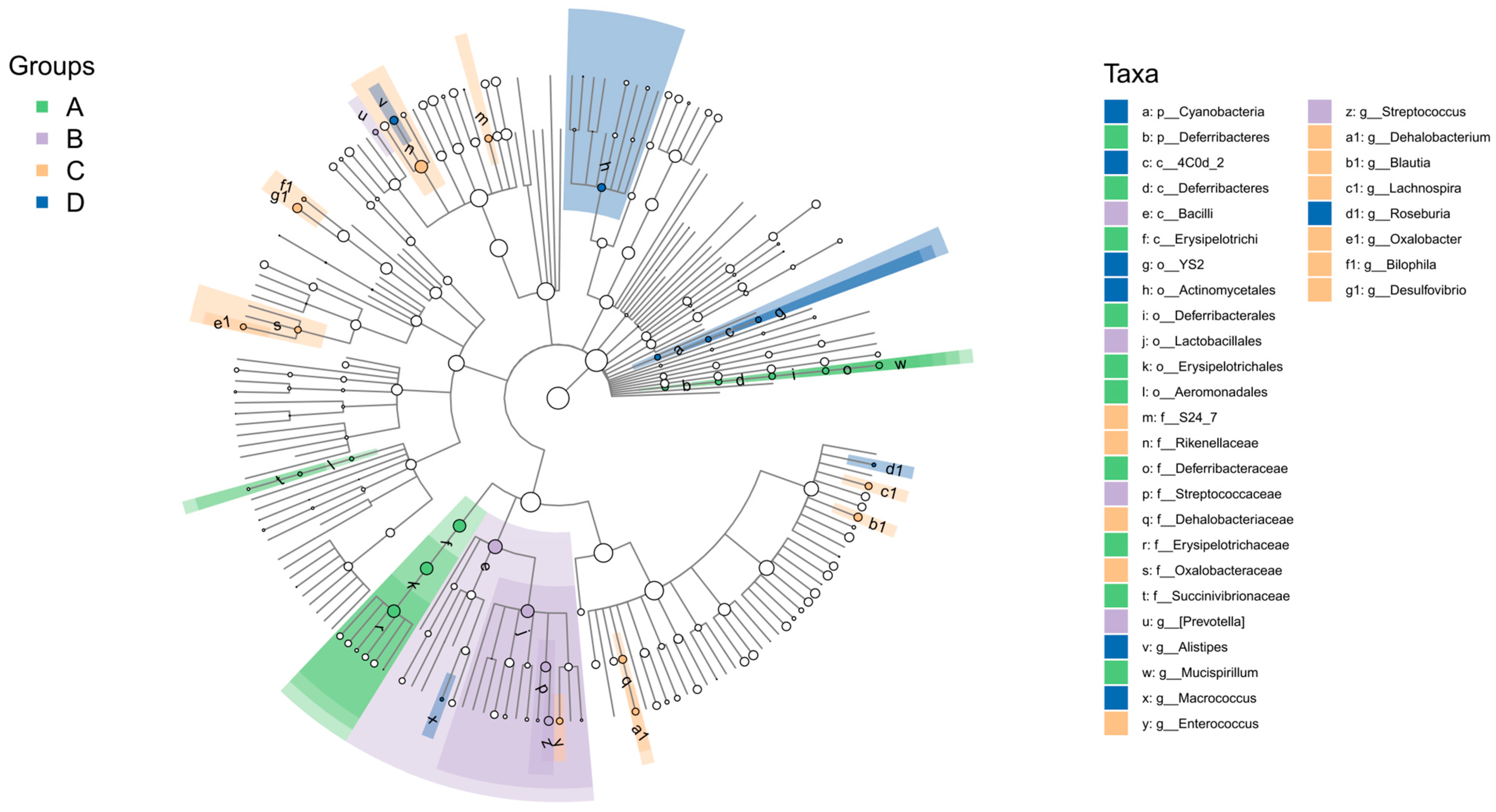 Agriculture 15 00112 g003