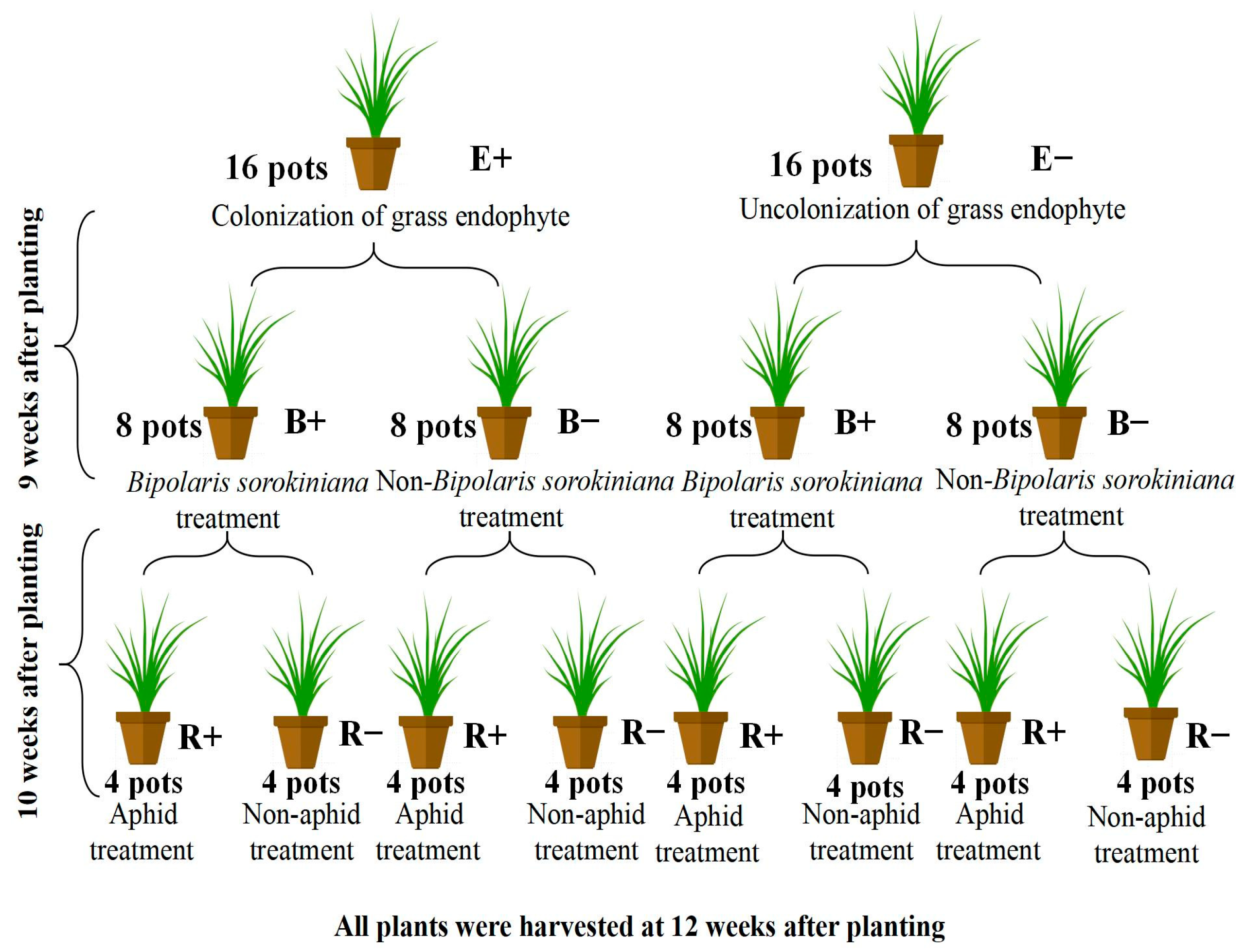 Agriculture 15 00116 g001 Agriculture 15 00116 g001