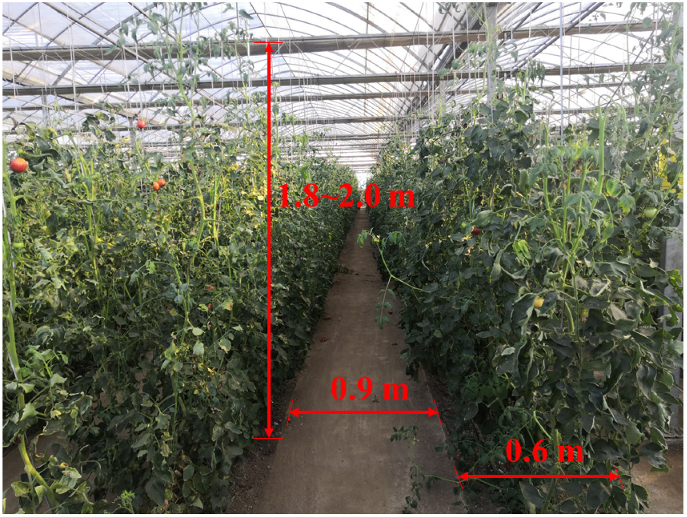 Agriculture 15 00118 g001