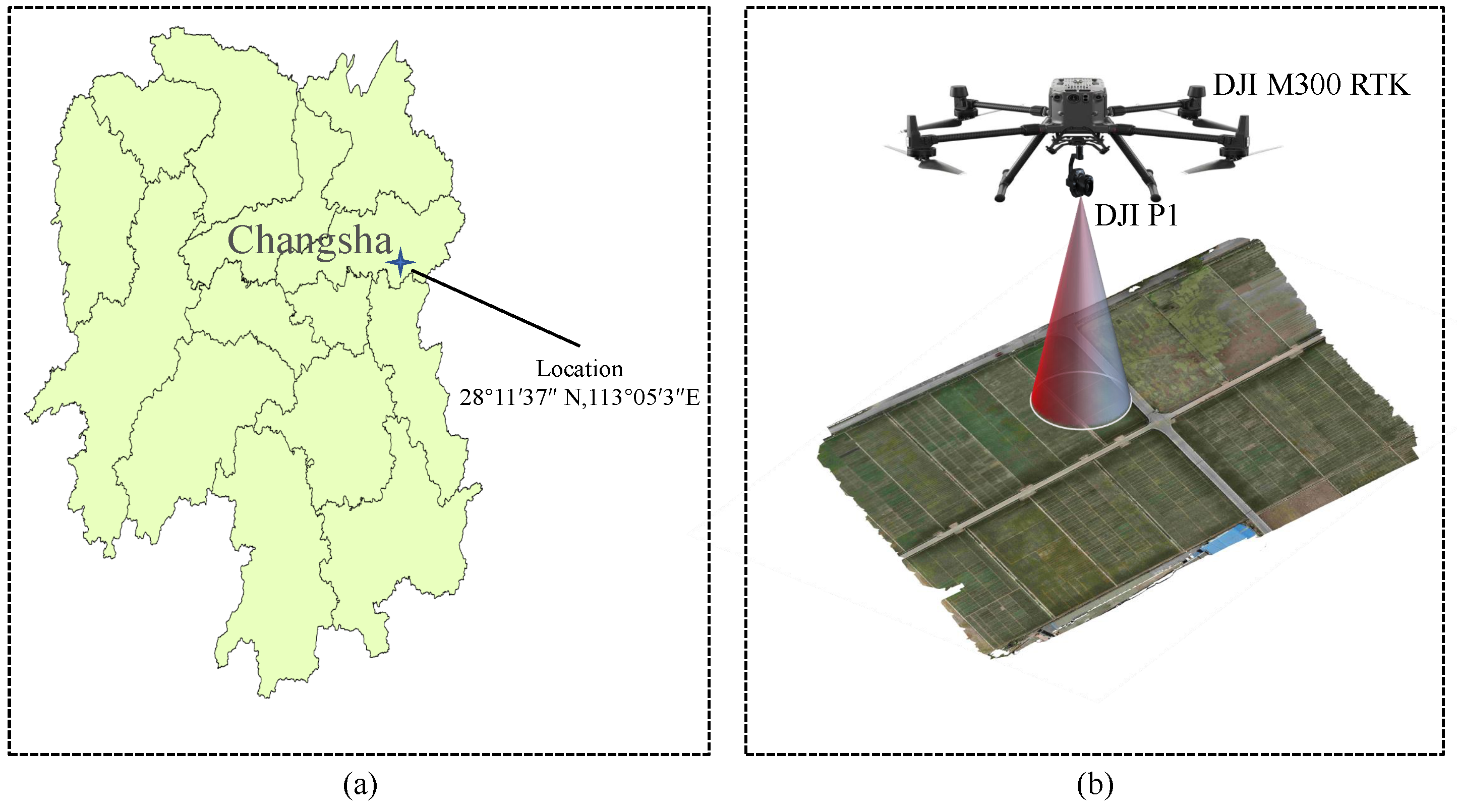 Agriculture 15 00122 g001