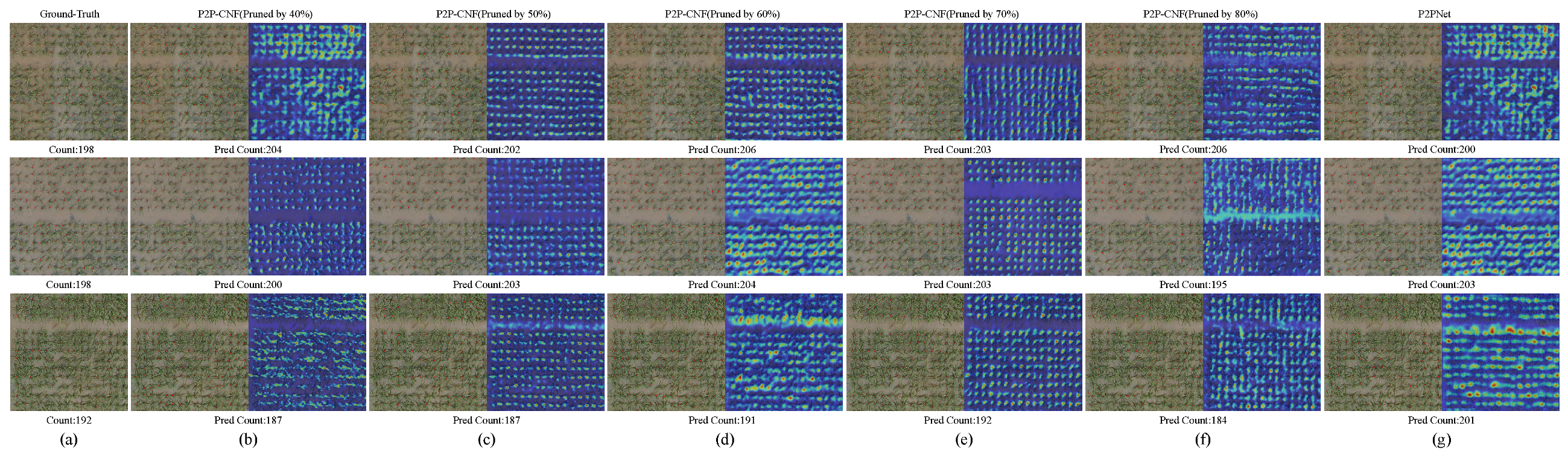 Agriculture 15 00122 g009