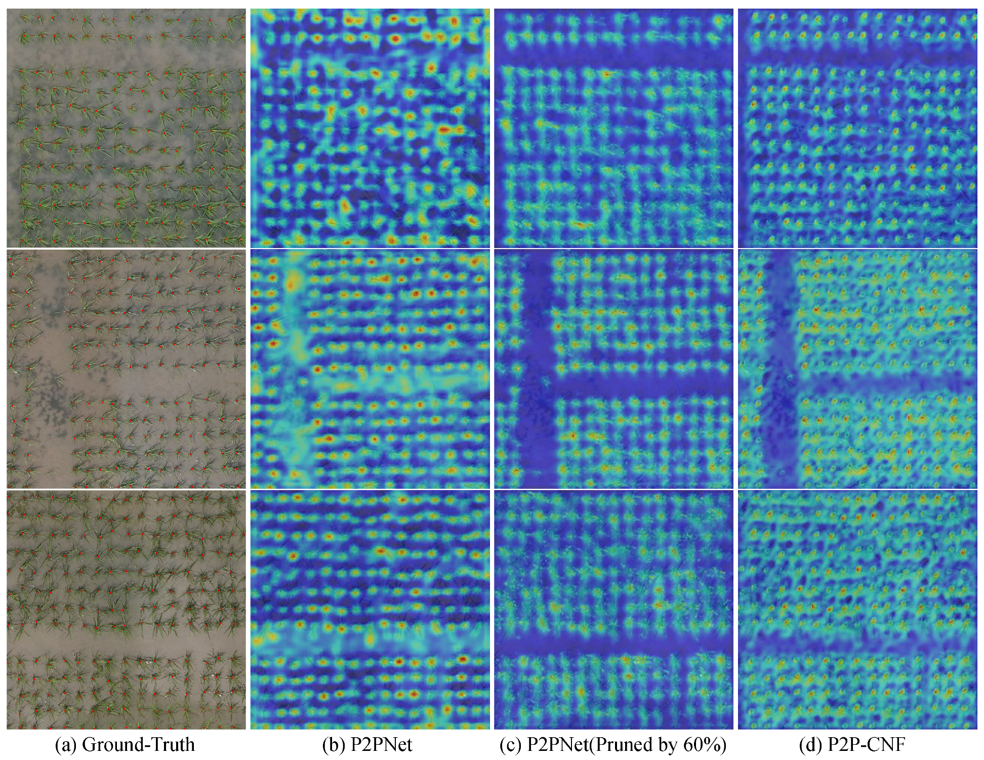 Agriculture 15 00122 g010