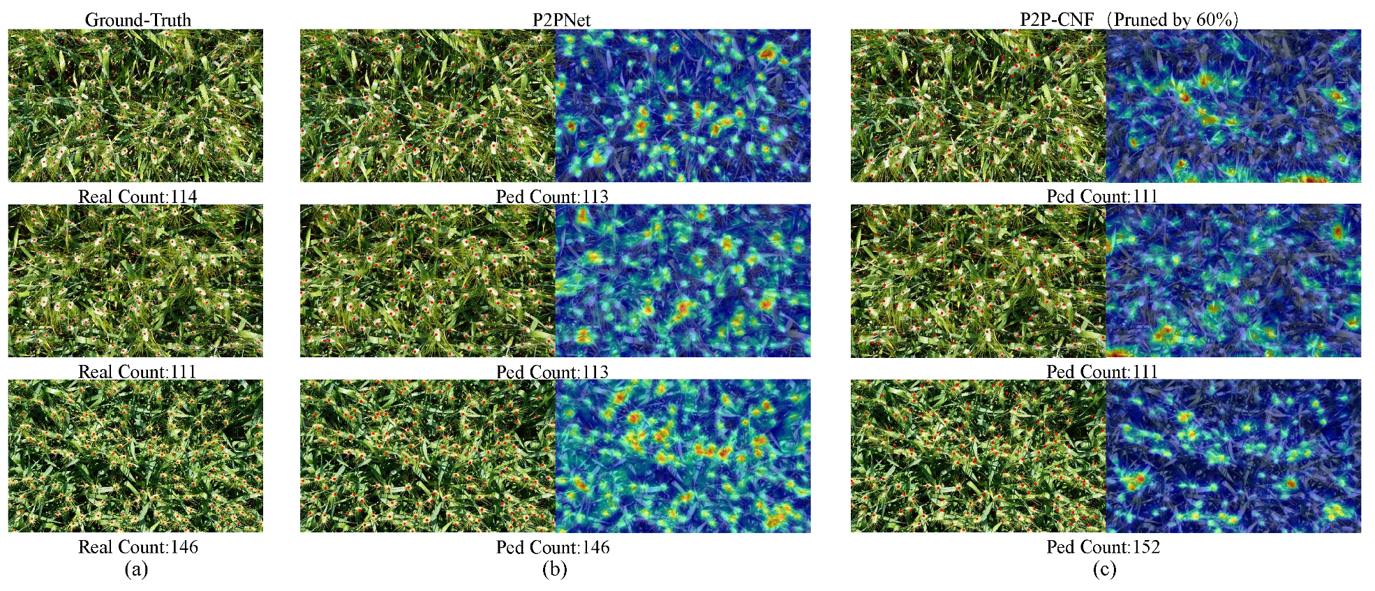 Agriculture 15 00122 g013