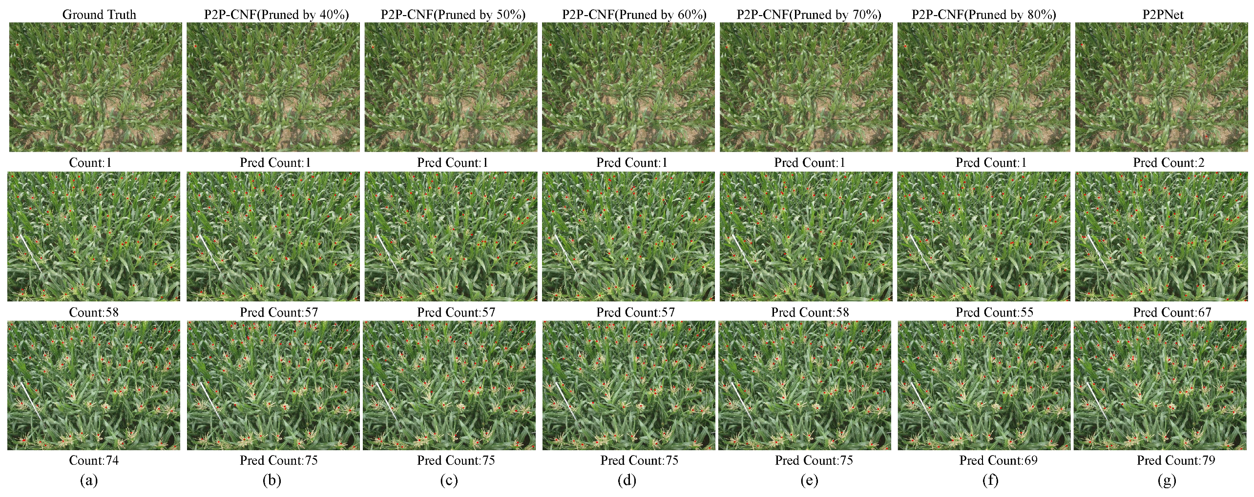 Agriculture 15 00122 g014