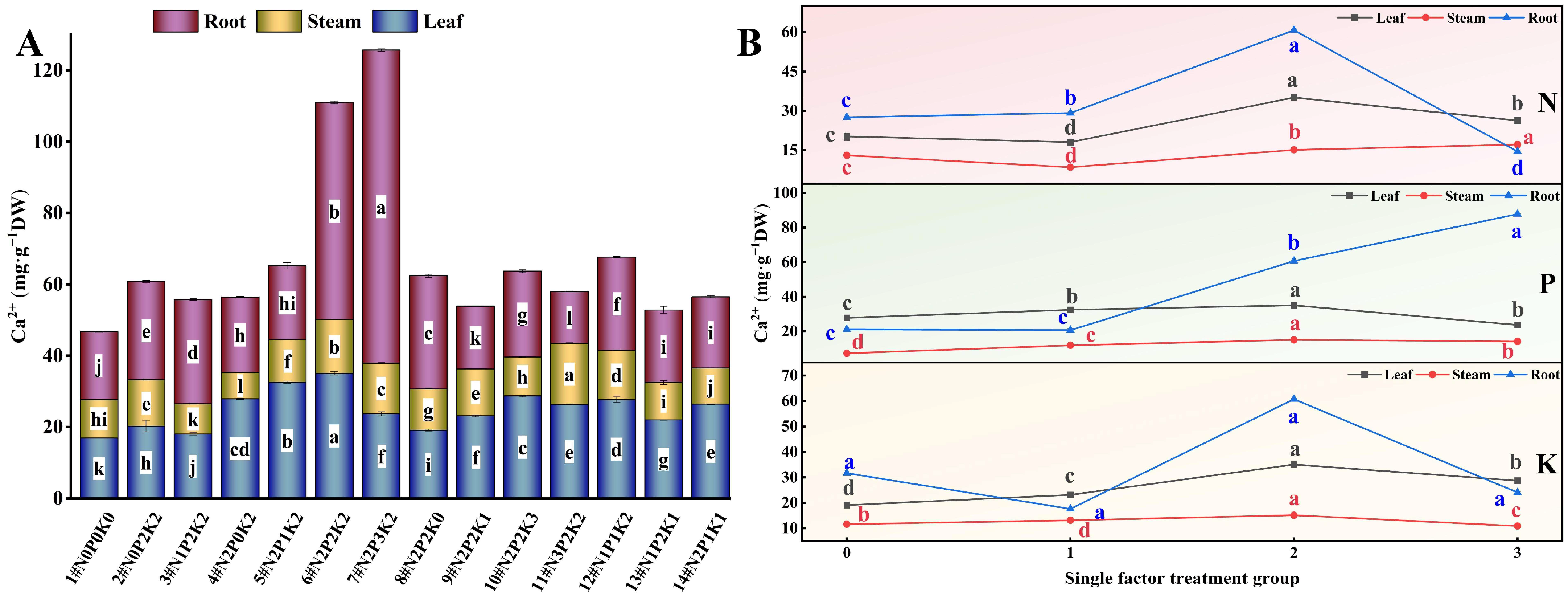 Agriculture 15 00125 g006