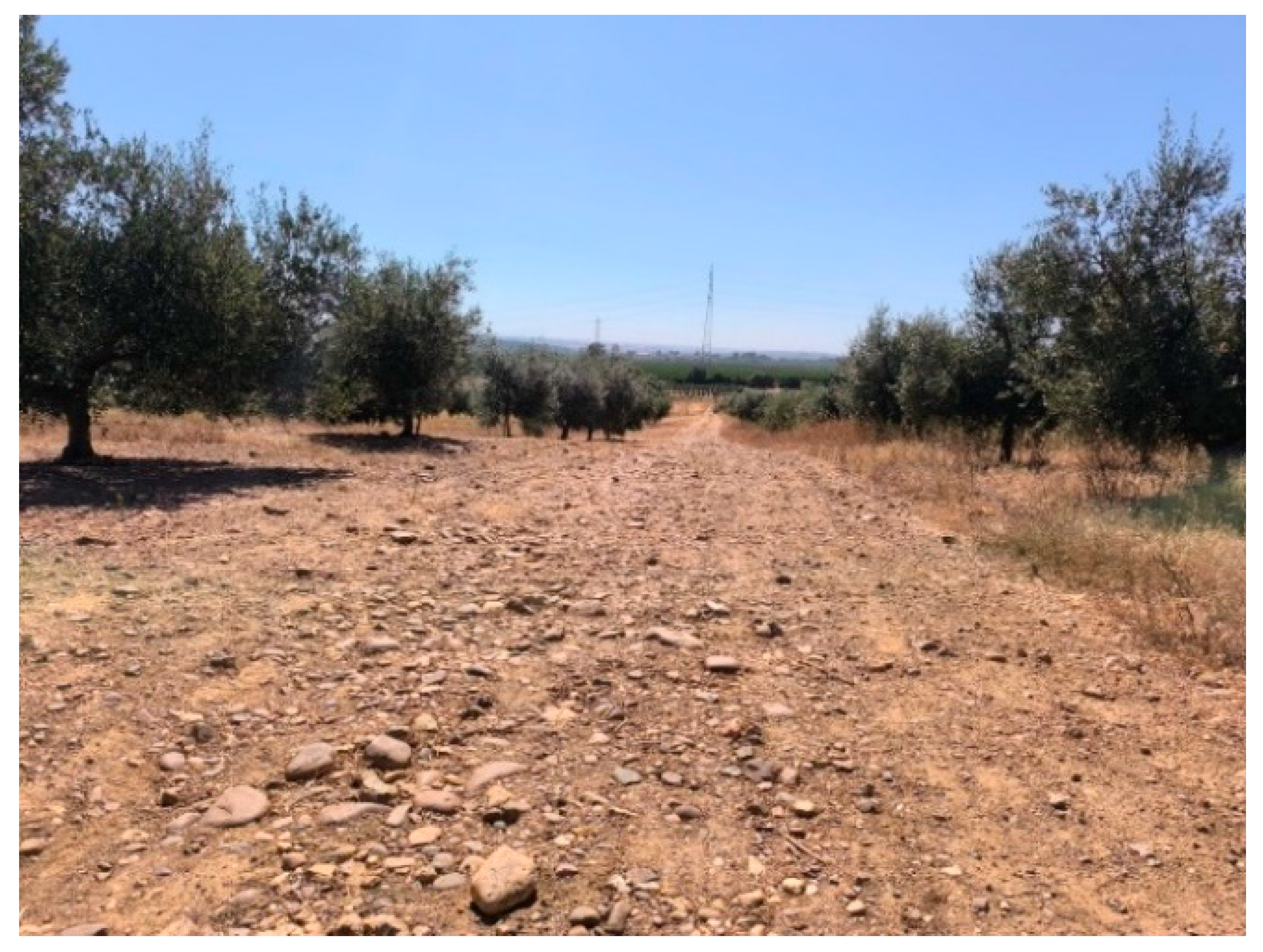 Agriculture 15 00131 g002