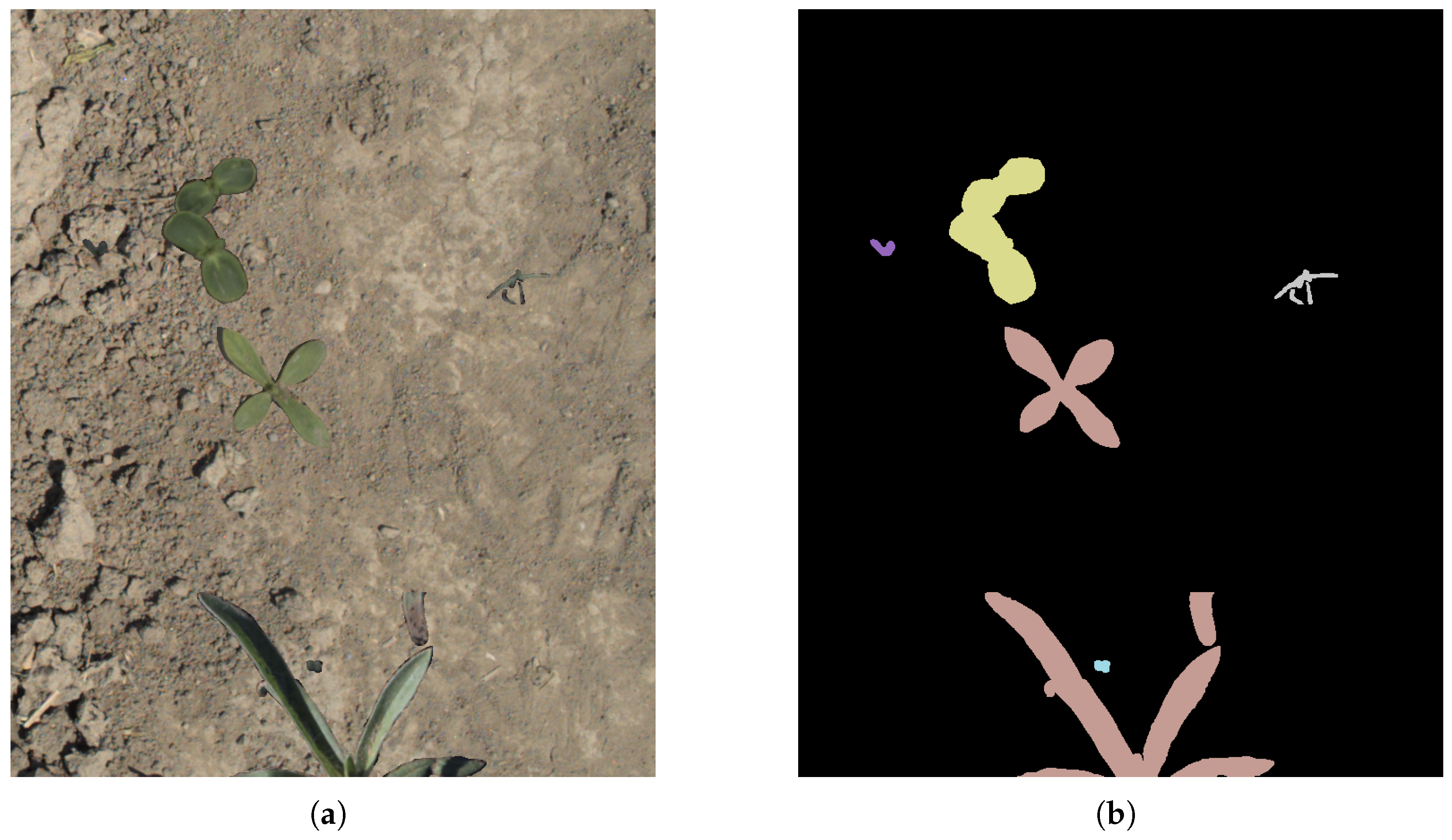 Agriculture 15 00138 g002
