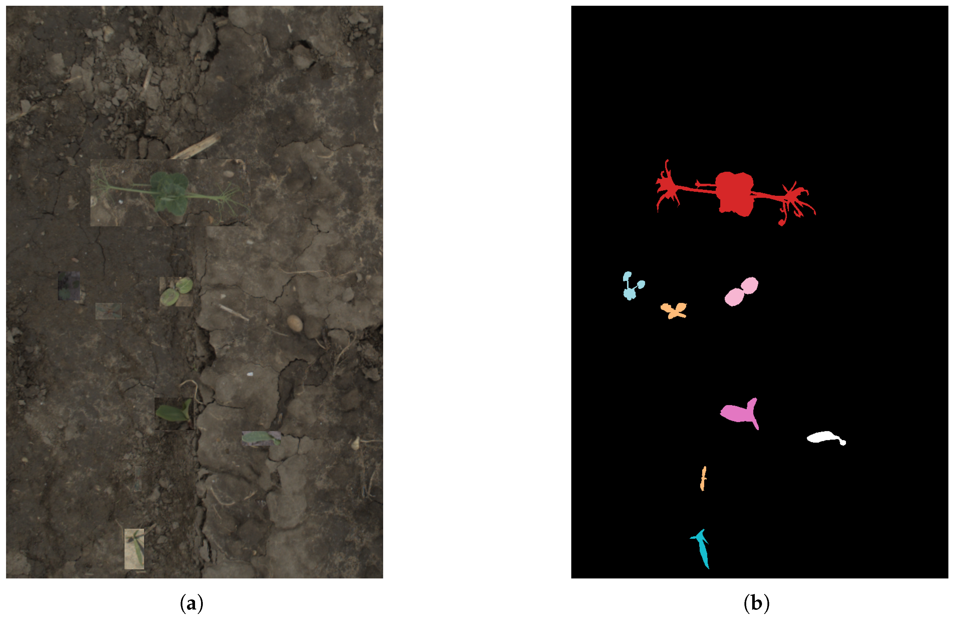 Agriculture 15 00138 g004