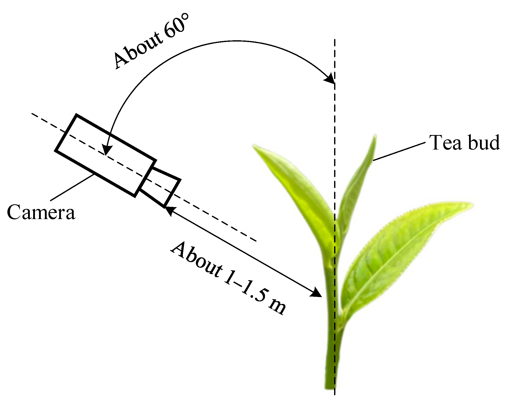 Agriculture 15 00144 g001