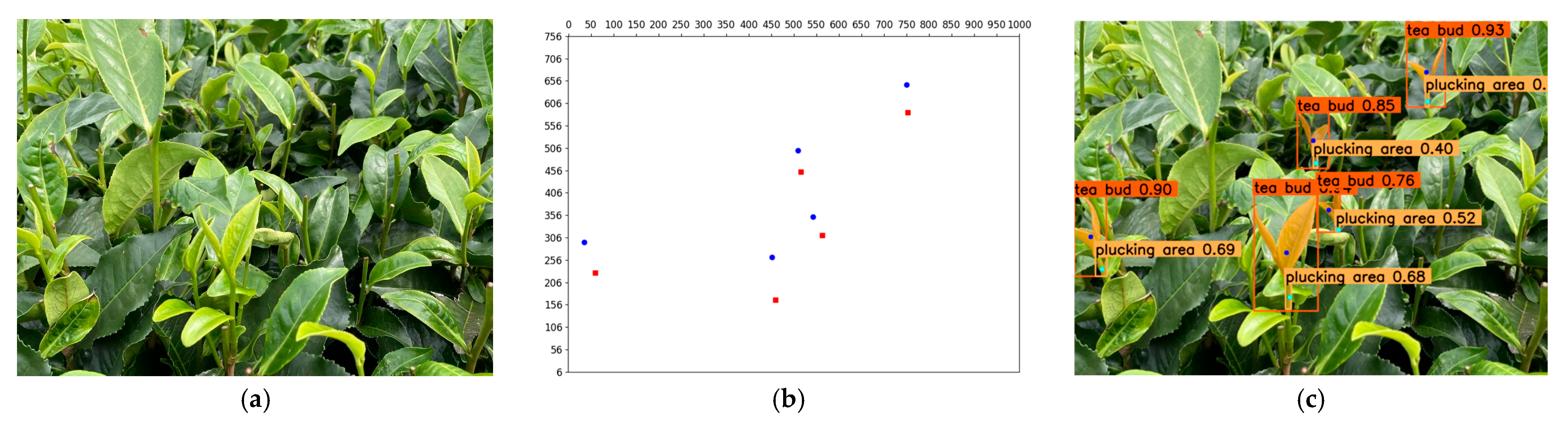 Agriculture 15 00144 g012