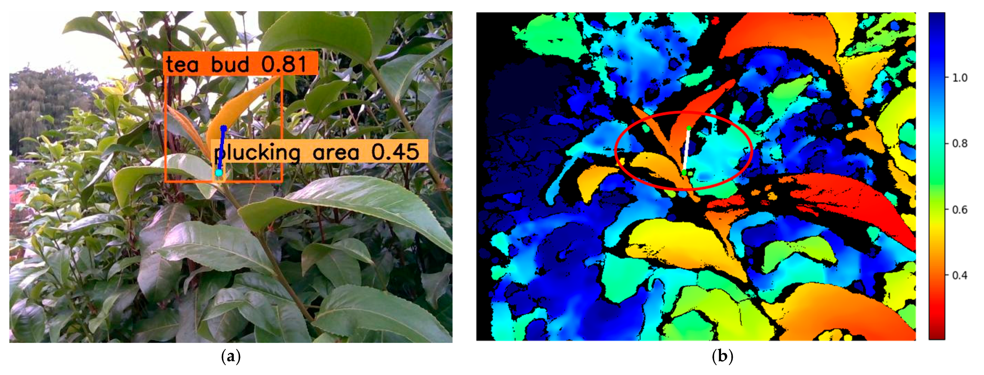 Agriculture 15 00144 g014