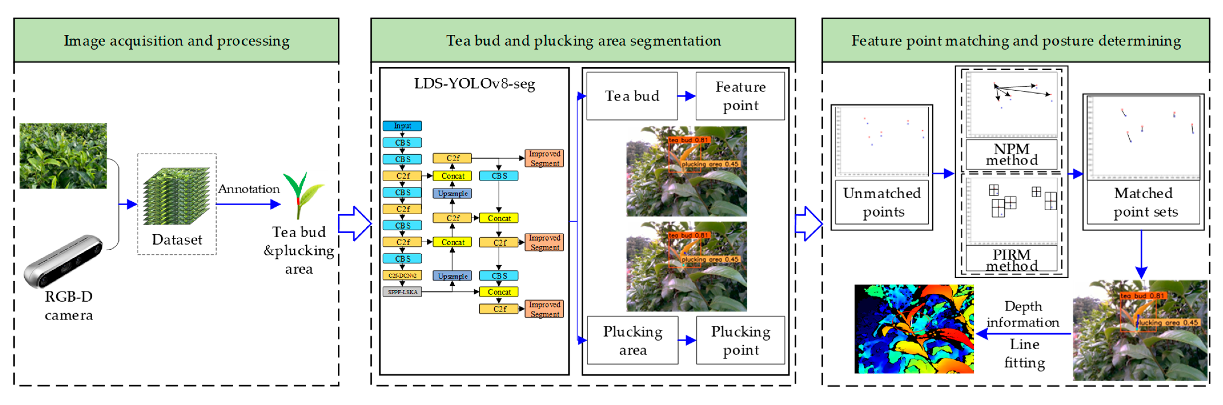 Plucking Point and Posture Determination of Tea Buds Based on Deep Learning