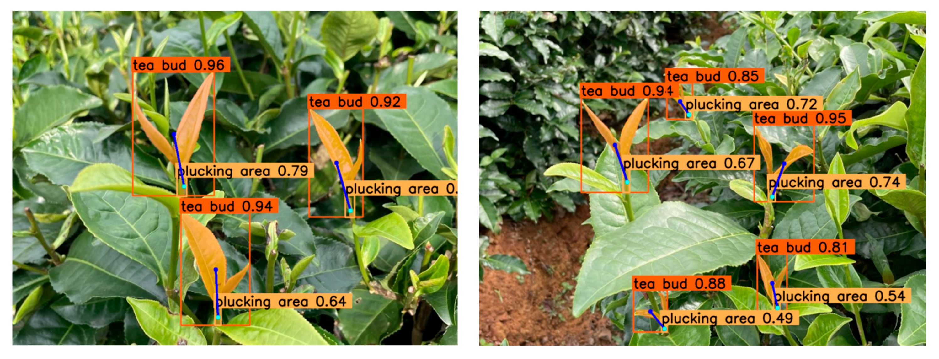 Agriculture 15 00144 g018