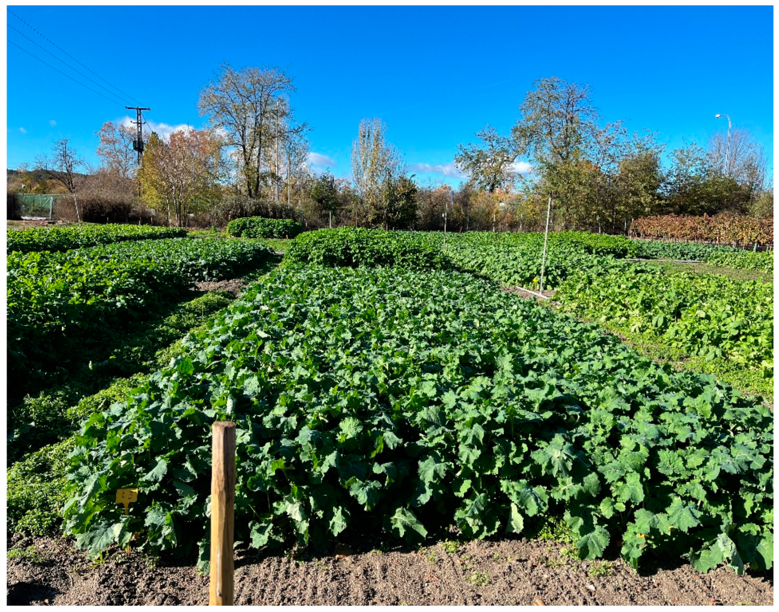 Agriculture 15 00147 g003